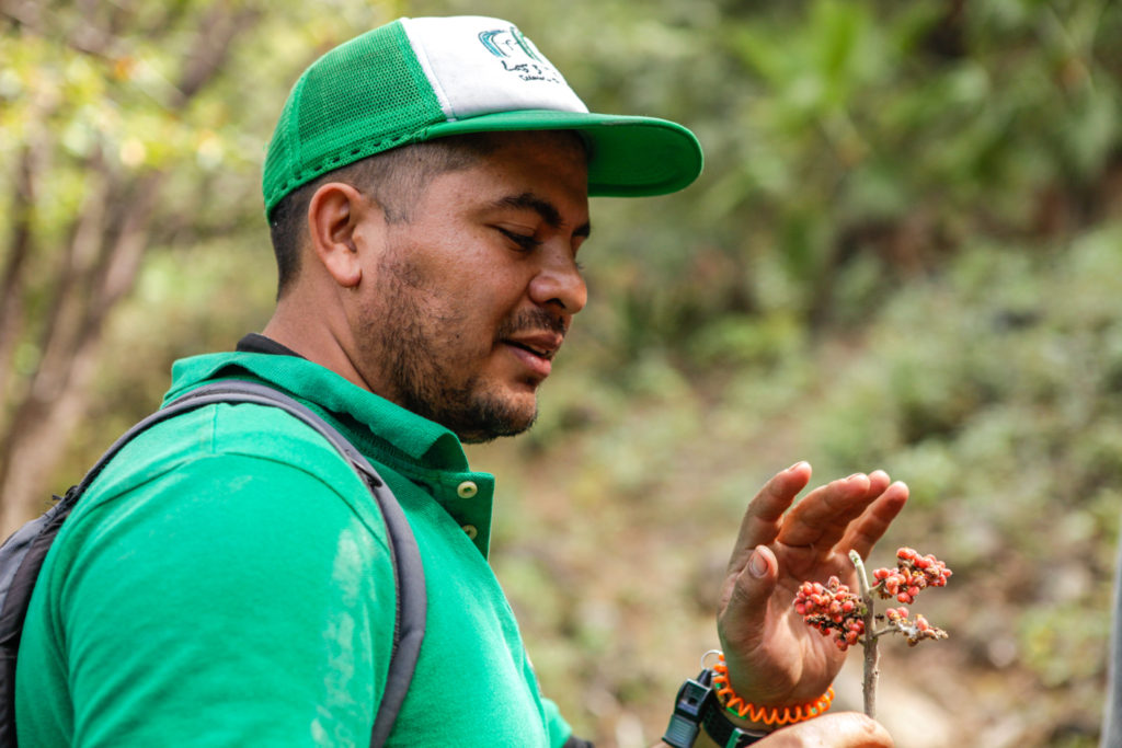 Las 3 Tzimoleras-Mexique-Chiapas-Cascade