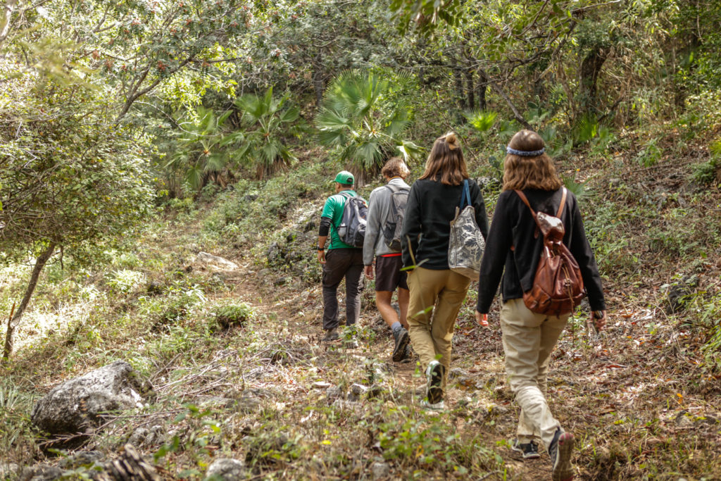 Las 3 Tzimoleras-chiapas-mexique-cascade