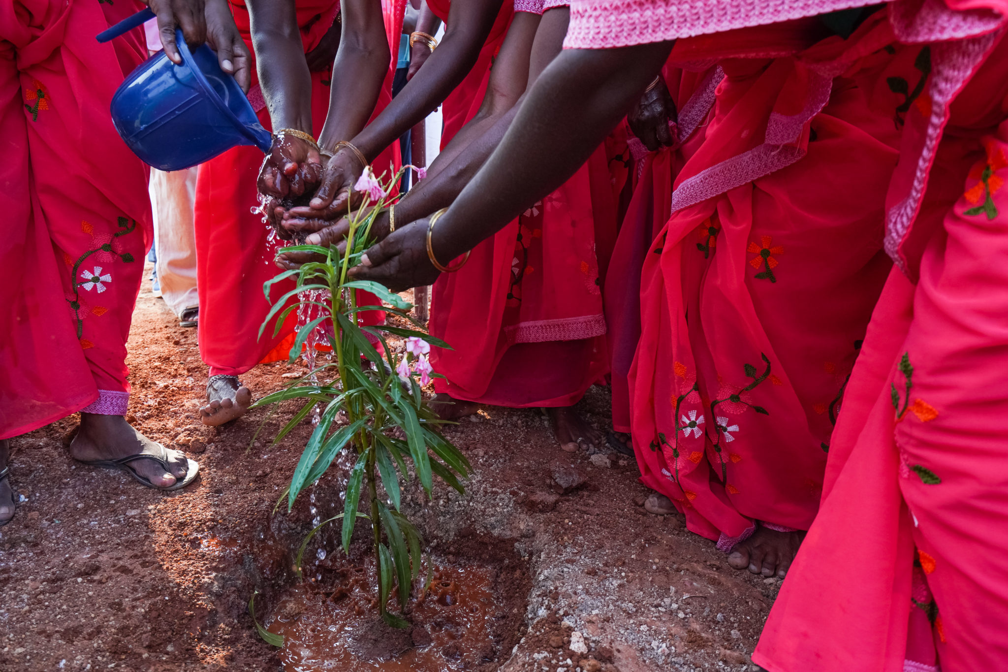 kynarou-inde-eau-sanitaire-inauguration-arbres