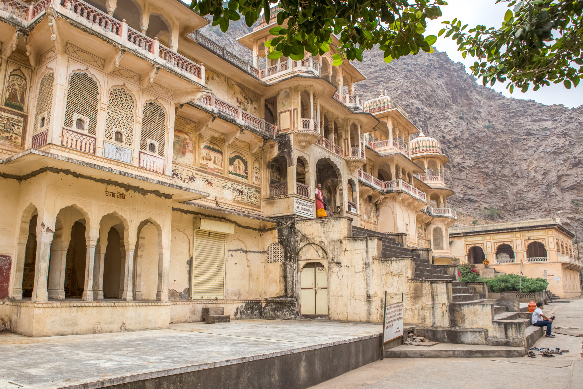 temple-singes-jaipur-inde