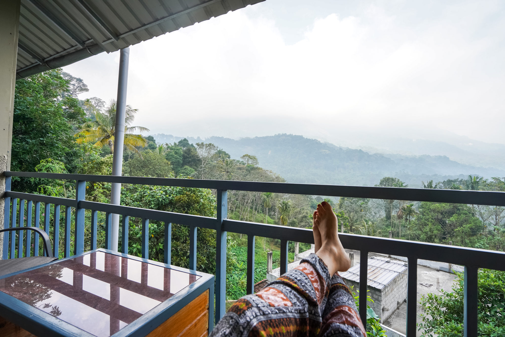 Munaar-kerala-hotel-guesthouse-plantations-visite