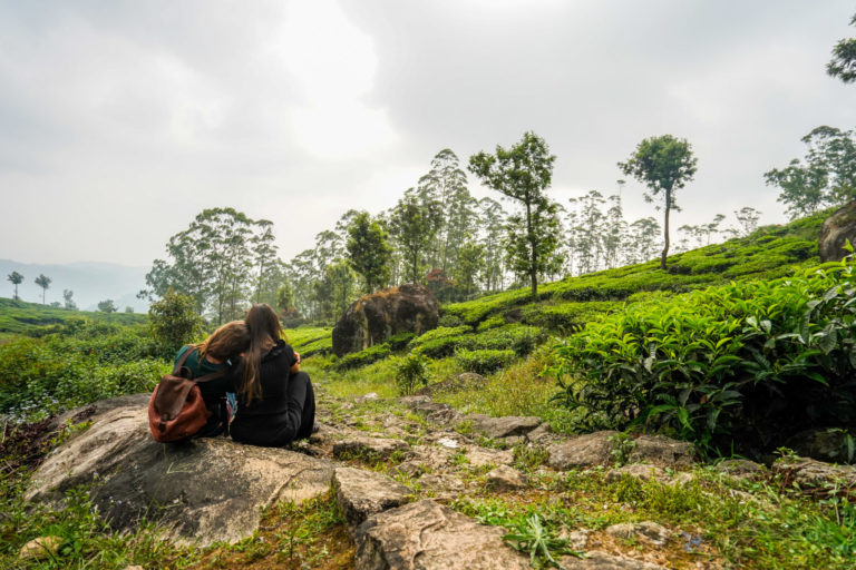 Munnar-plantations-inde-visite-plantations-voyage-thé