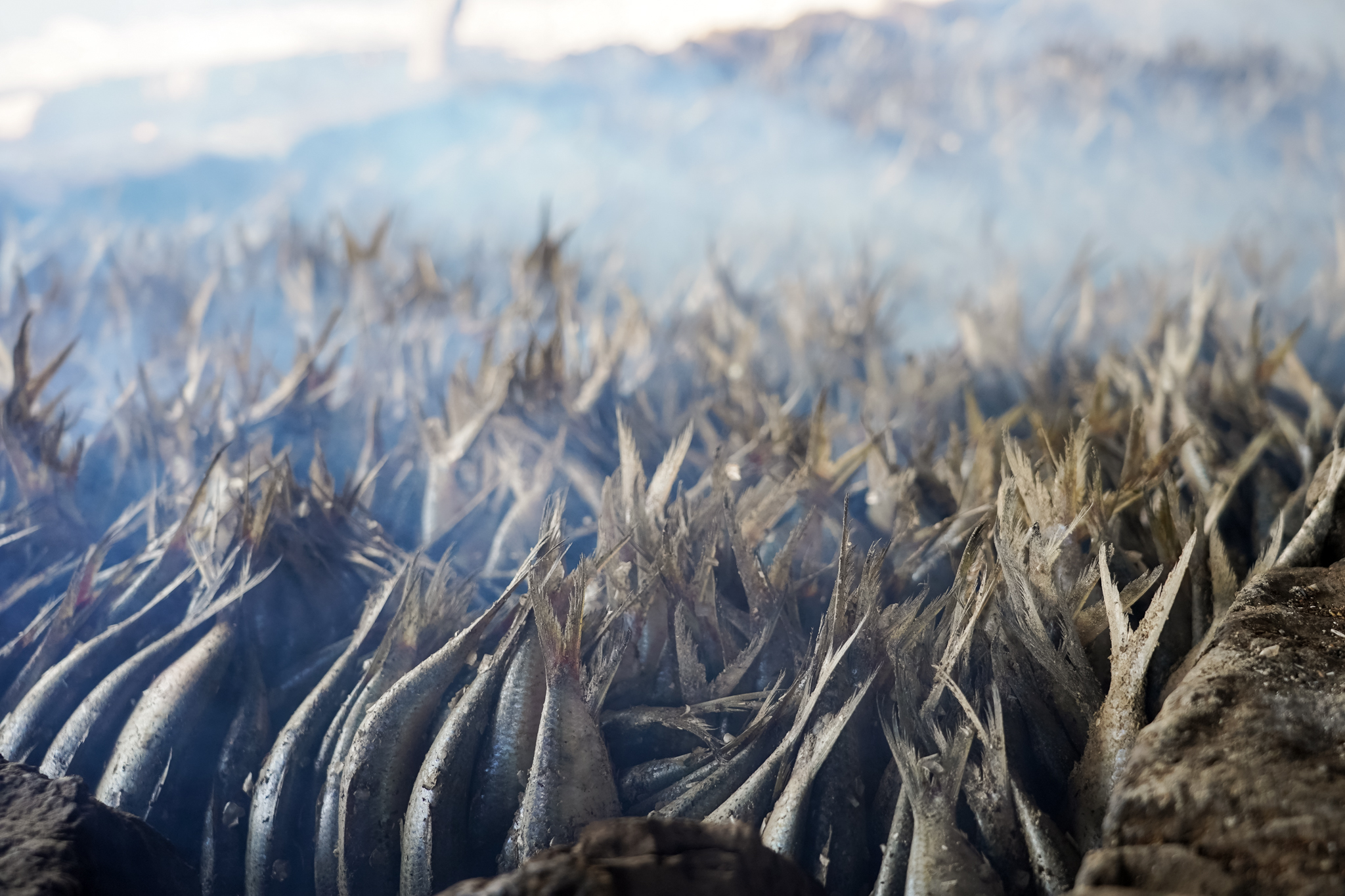 kafountine-peche-senegal