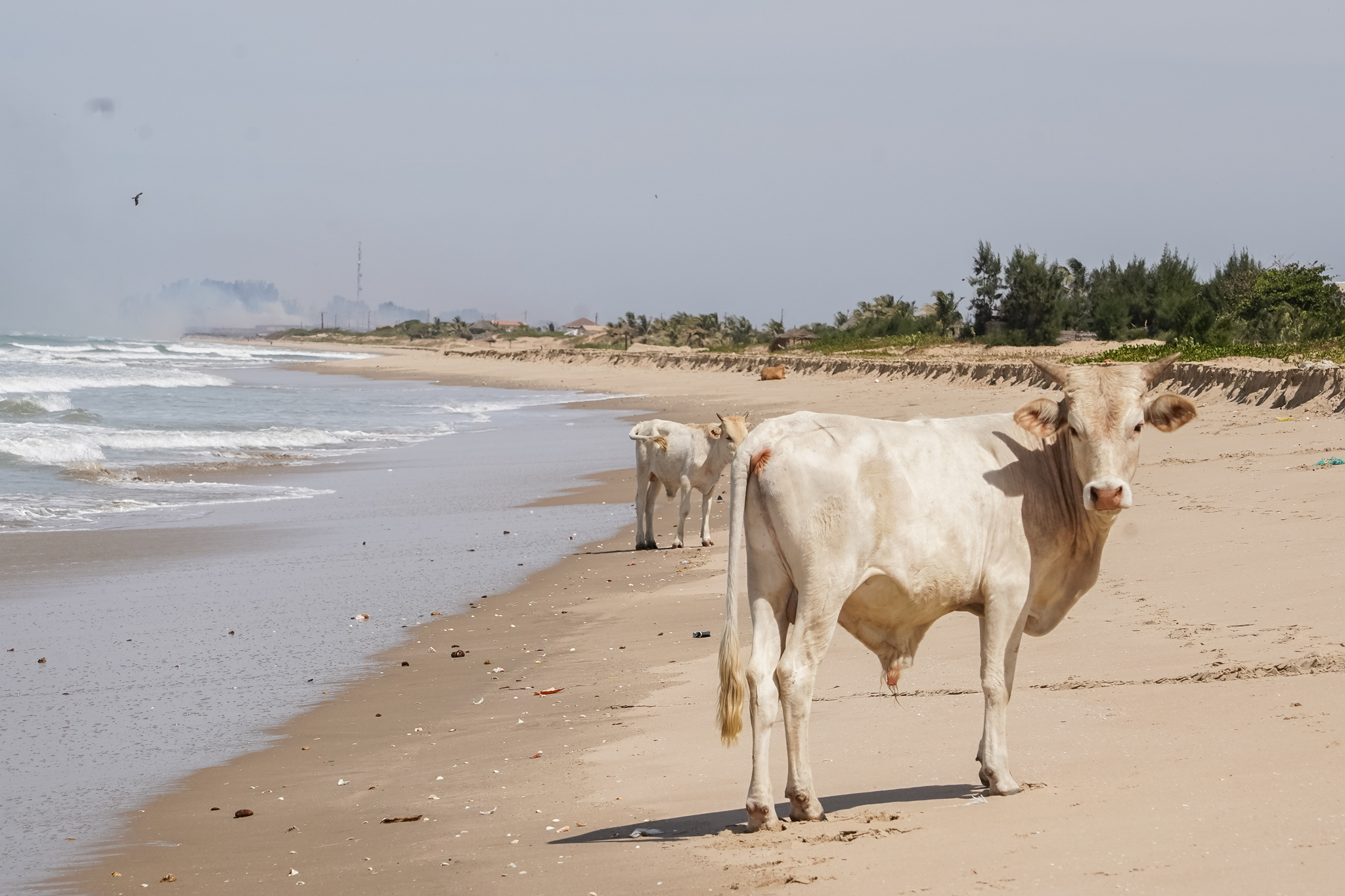 plage-casamance-kafountine