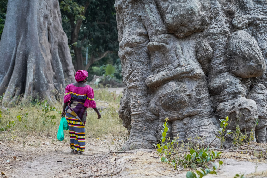 sénégal-casamance-affiniam-visiter