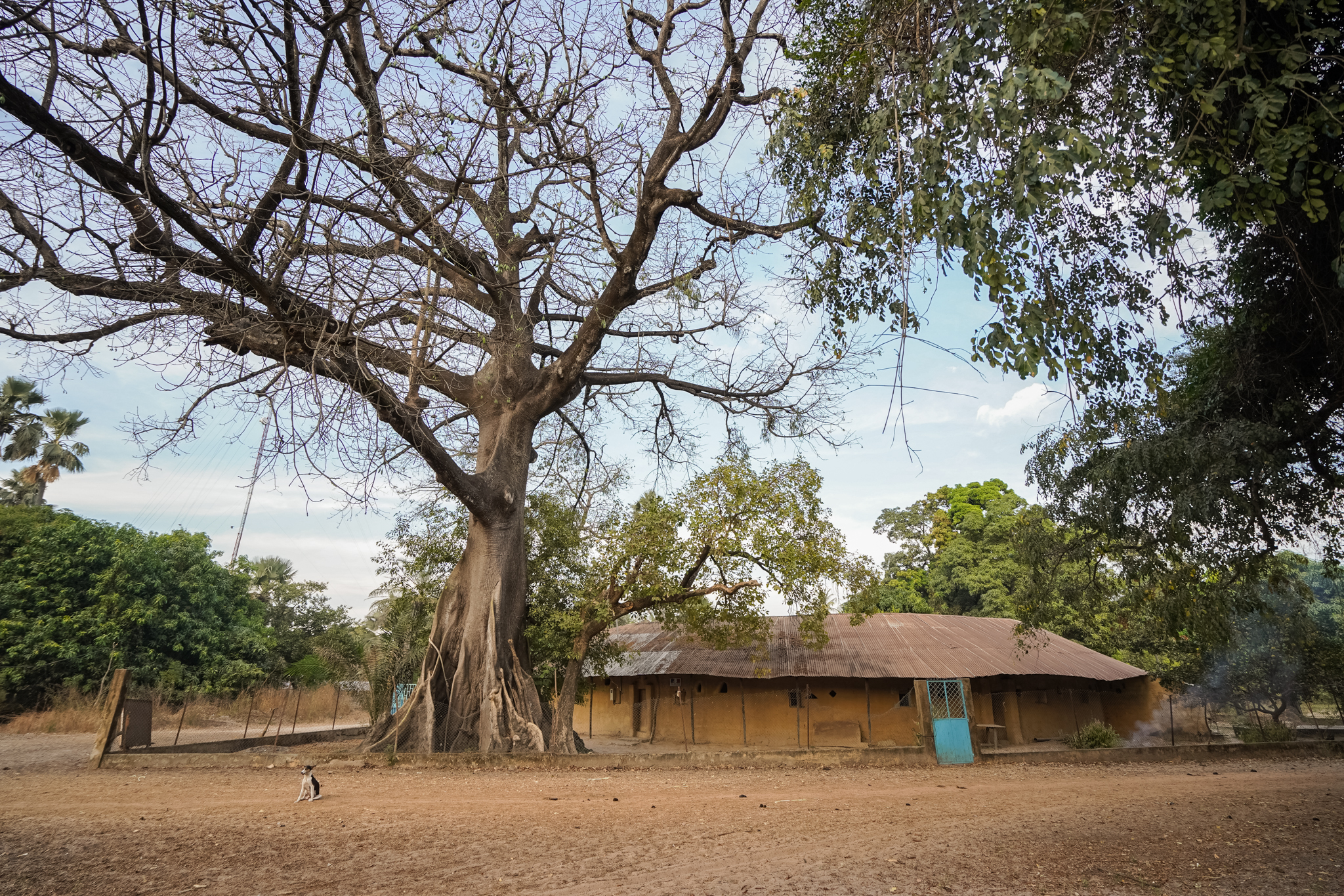 Affiniam-campement-sénégal-casamance-dormir