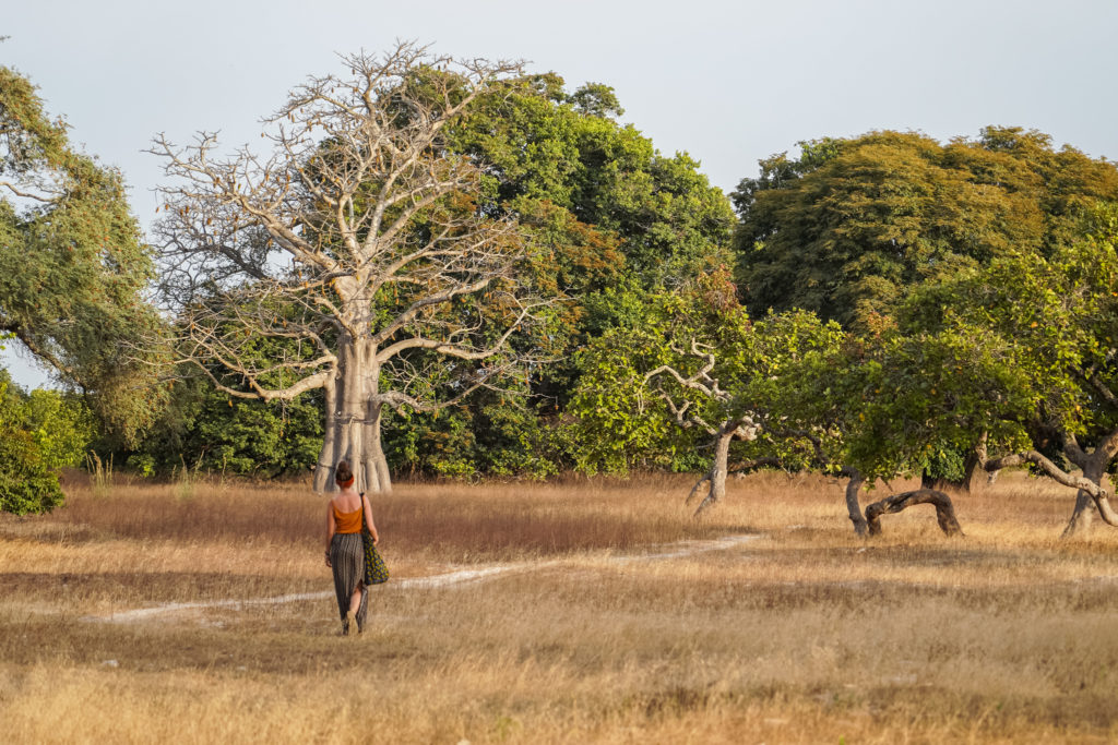 Efrane-senegal-casamance-visite