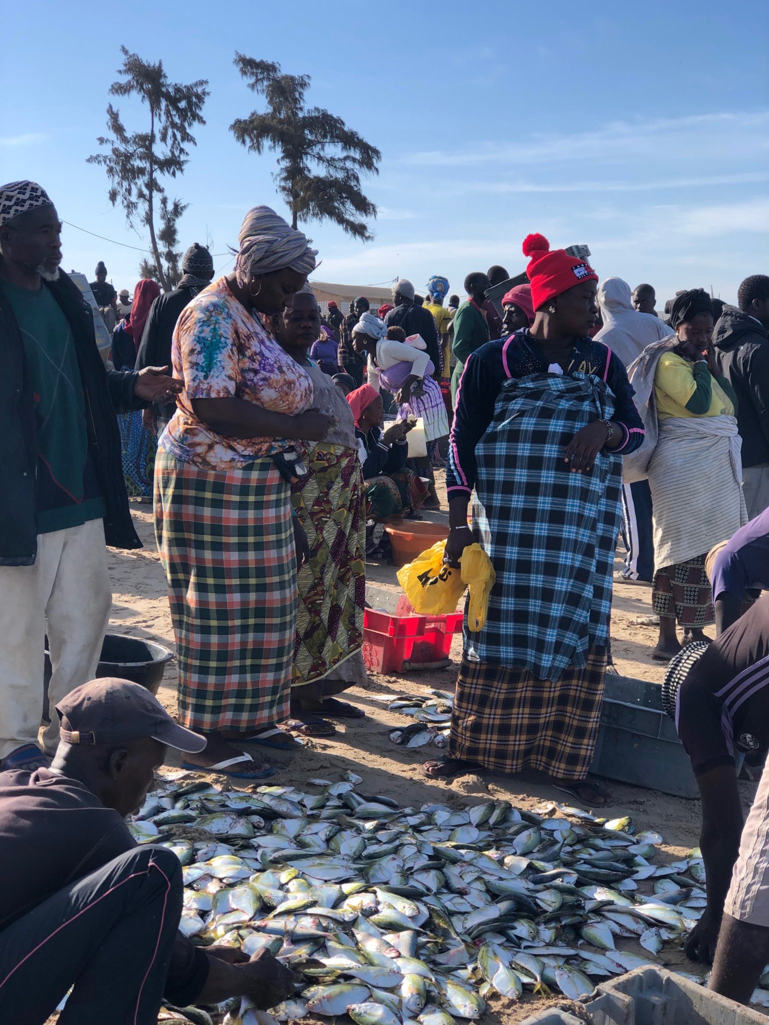 Kafountine-casamance-senegal