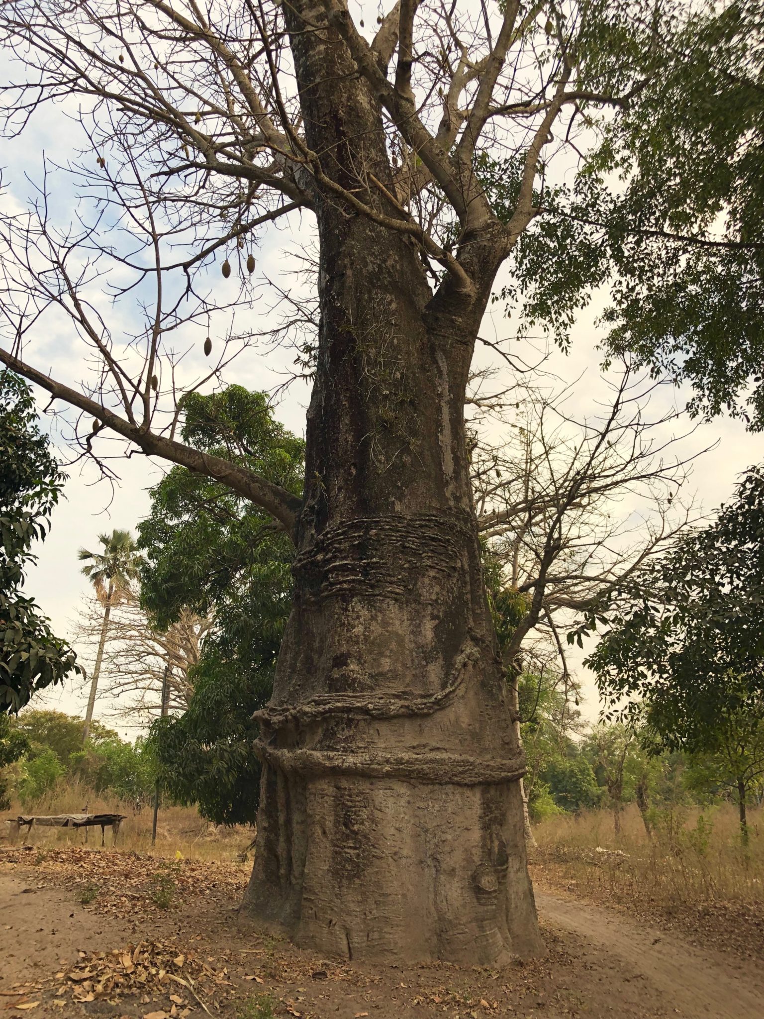 casamance-affiniam-senegal-visite