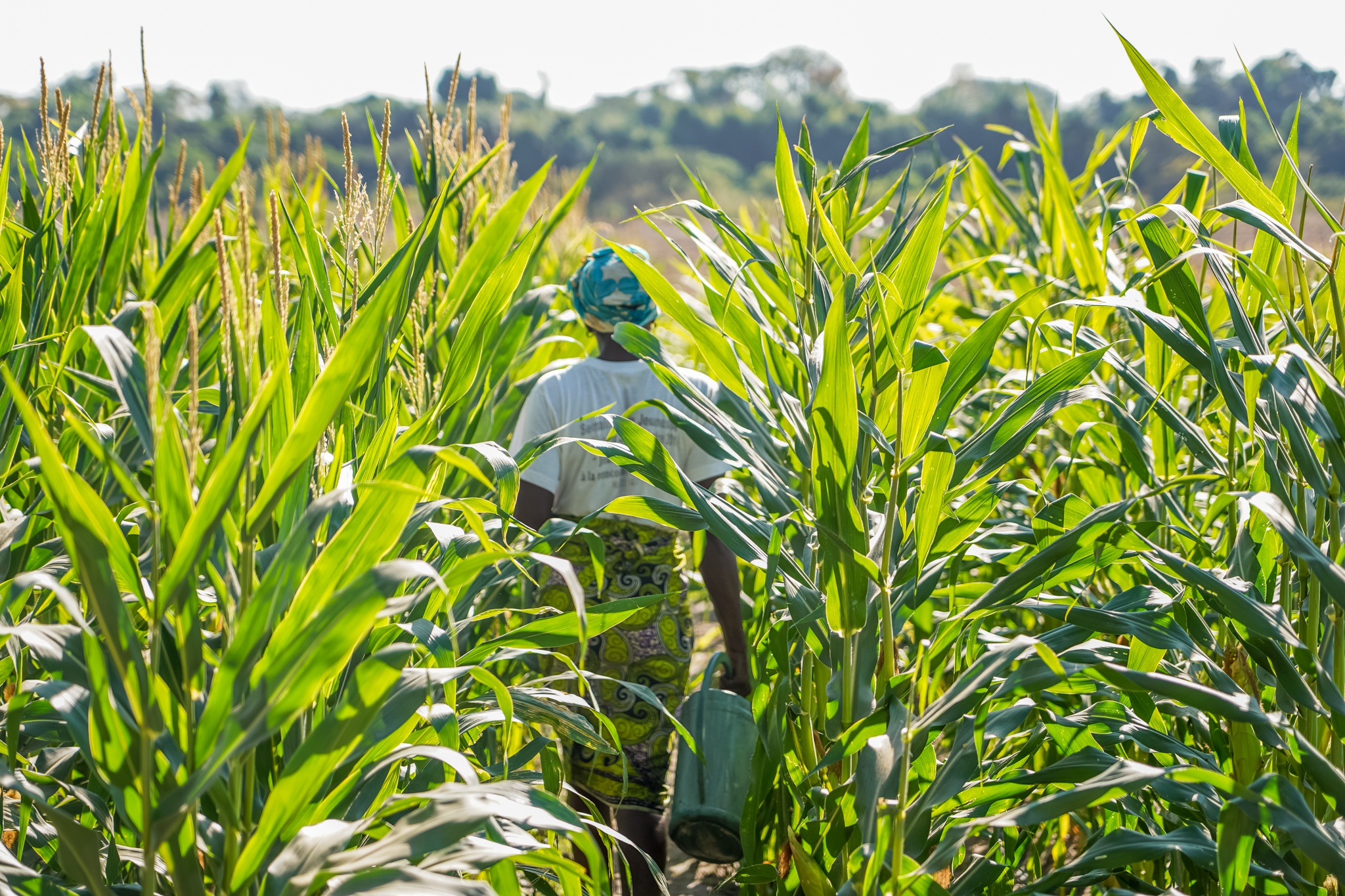 casamance-plantations-senegal-visite-oussouye