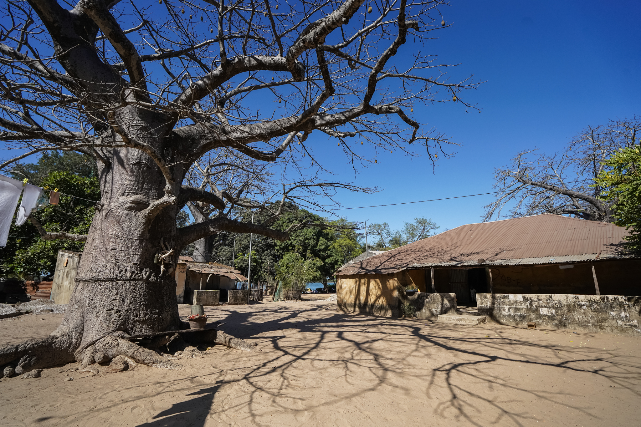 casamance-senegal-visite