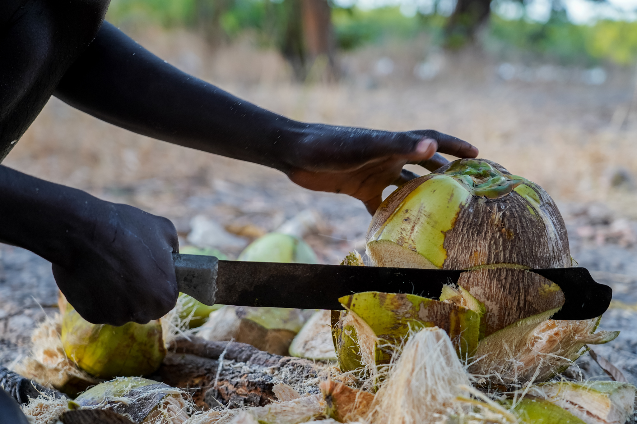 casamance-visite-senegal-efrane