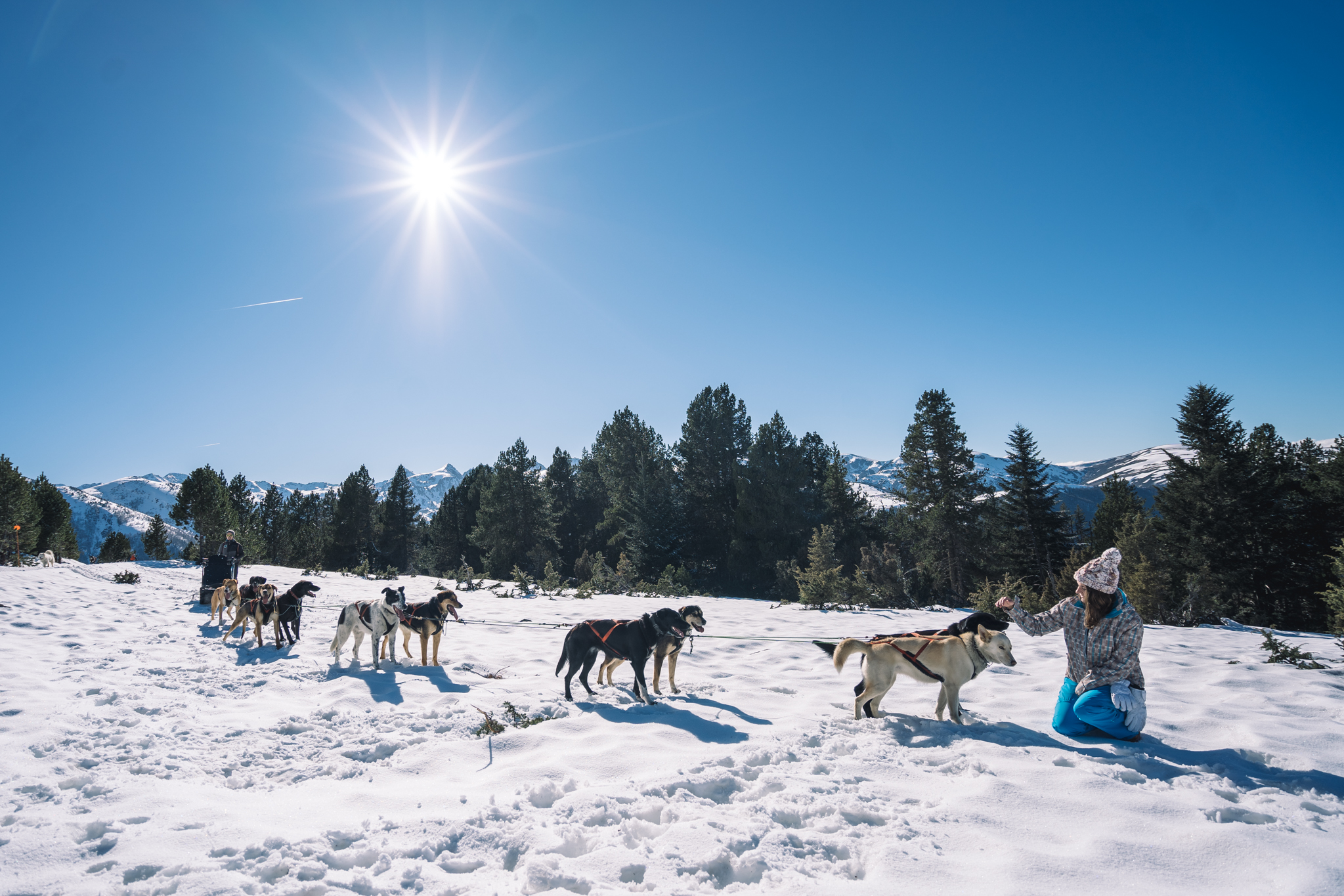 chiens-traineau-ariege-activité-montagne