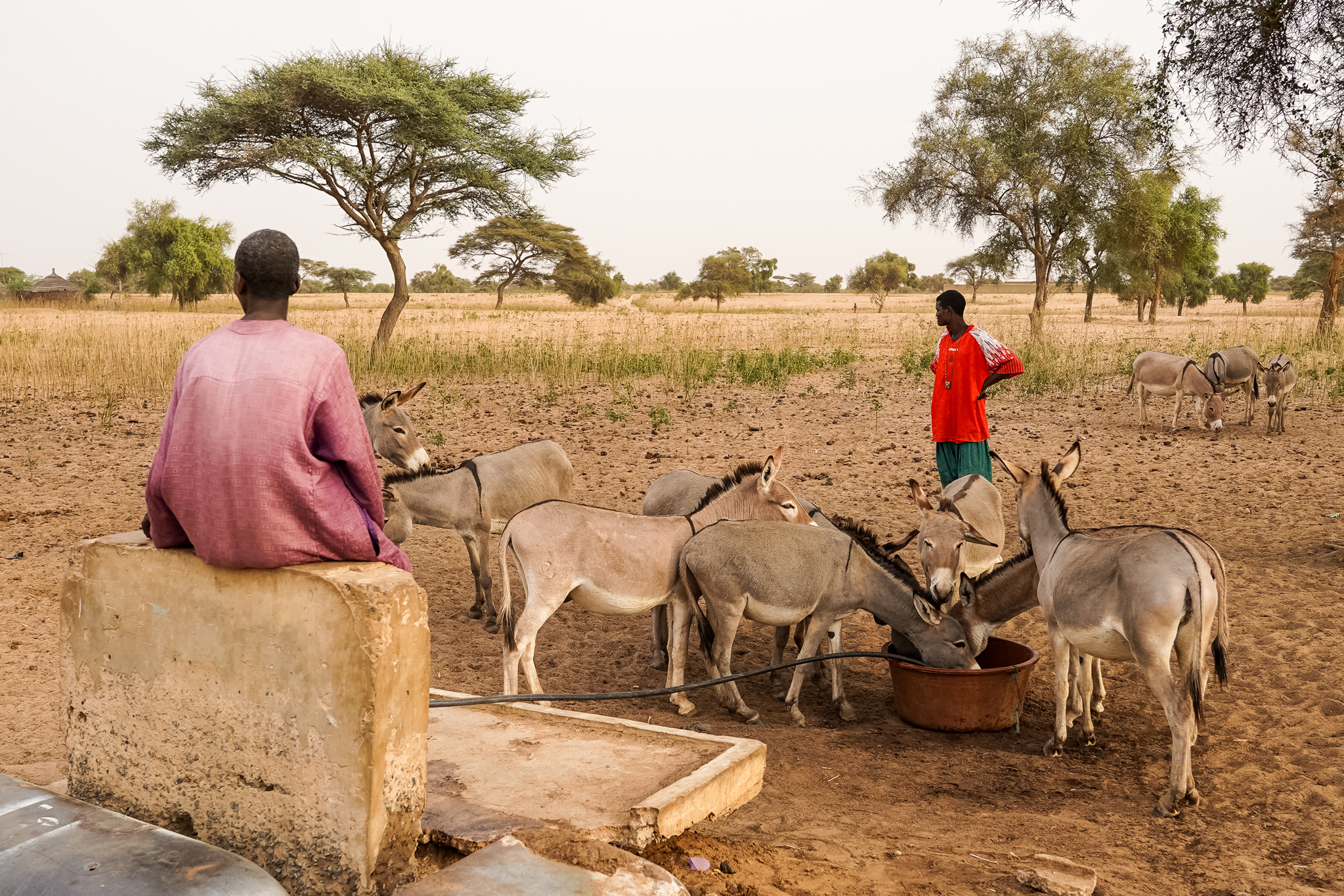 communauté-village-peul-senegal-visite-