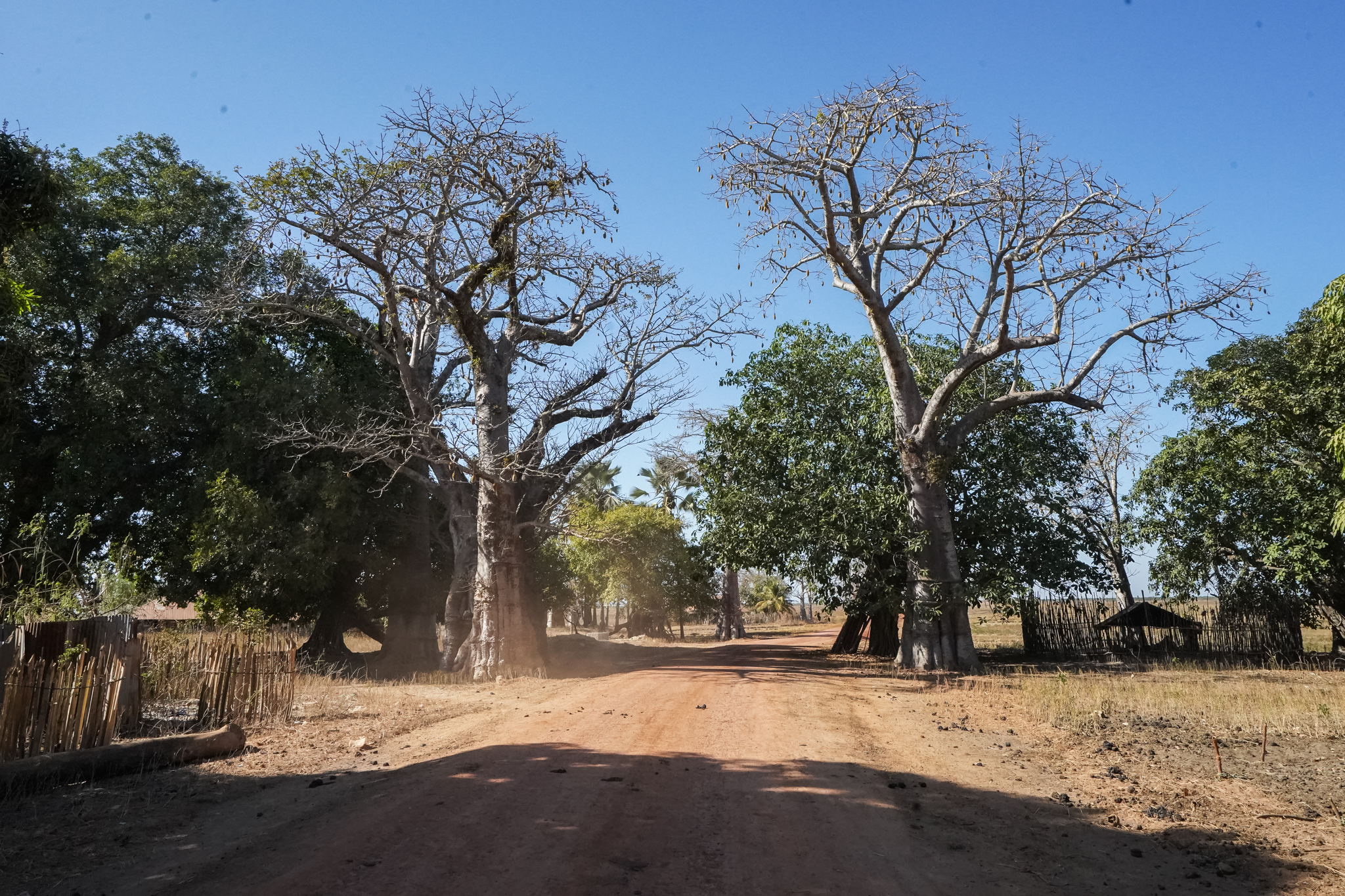 enampore-senegal-casamance-voyage