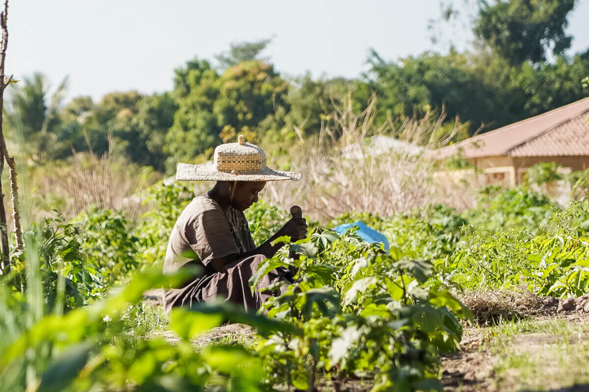 Fondatrice de la ferme de café familiale en Tanzanie