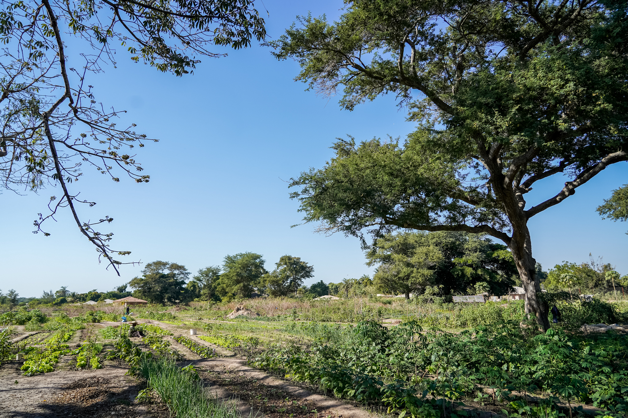 oussouye-casamance-voyage-senegal