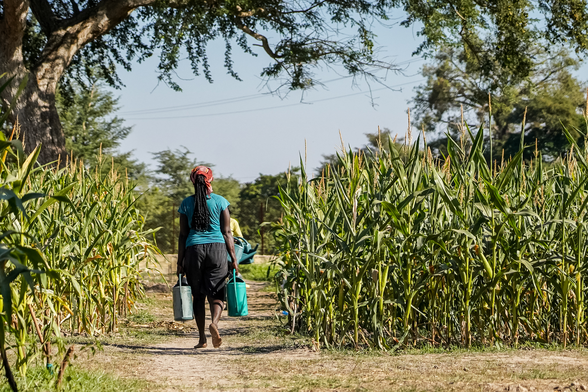 oussouye-senegal-visite-casamance
