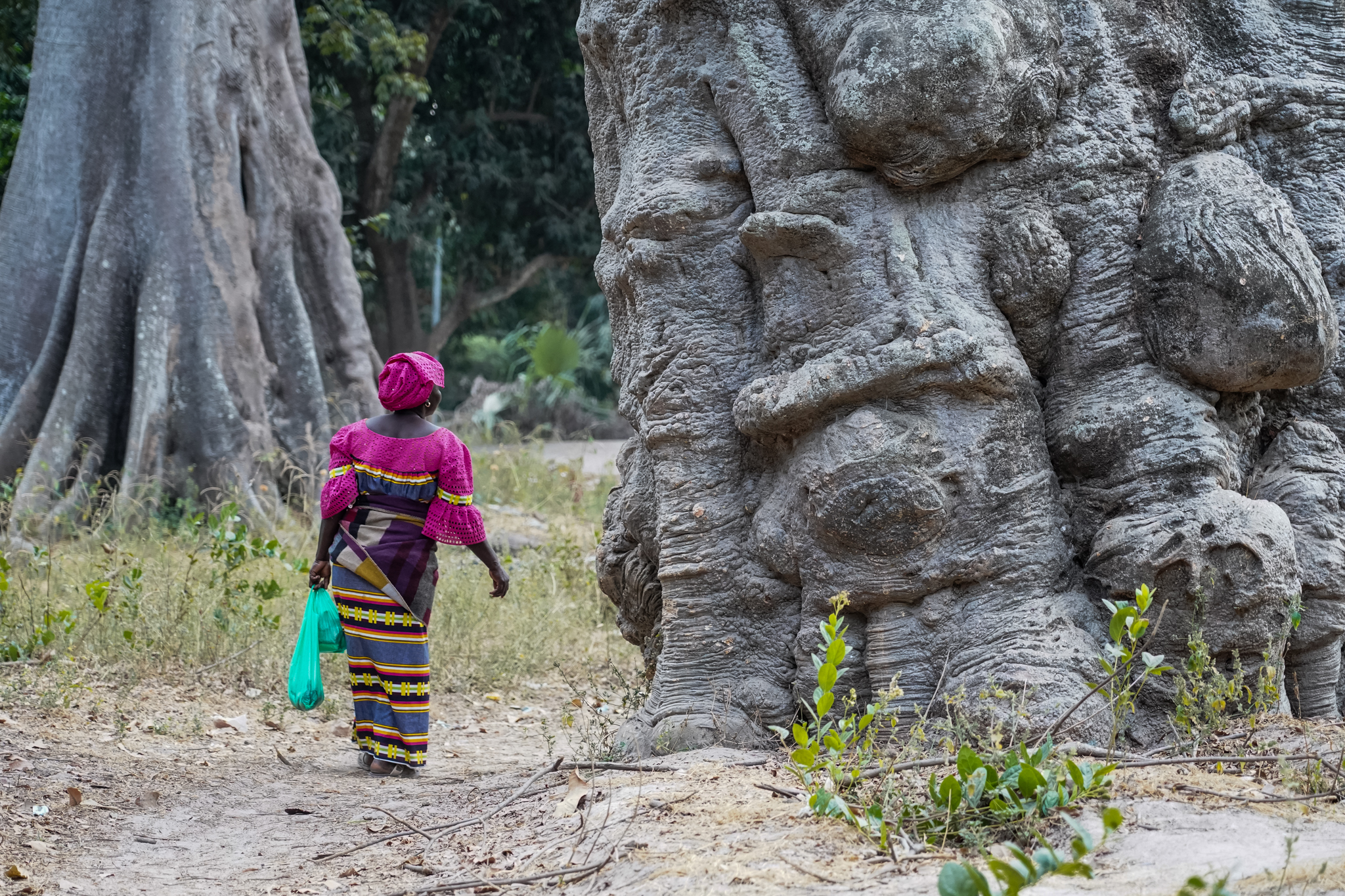 sénégal-casamance-affiniam-visiter