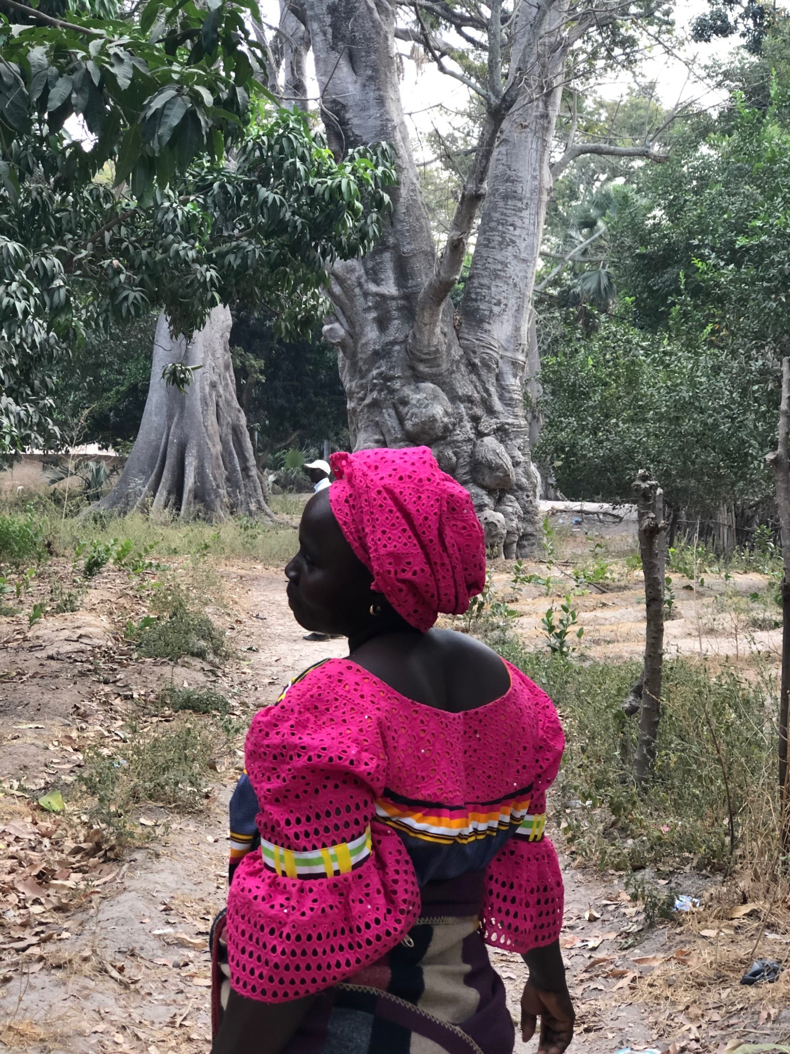 visite-senegal-casamance-affiniam