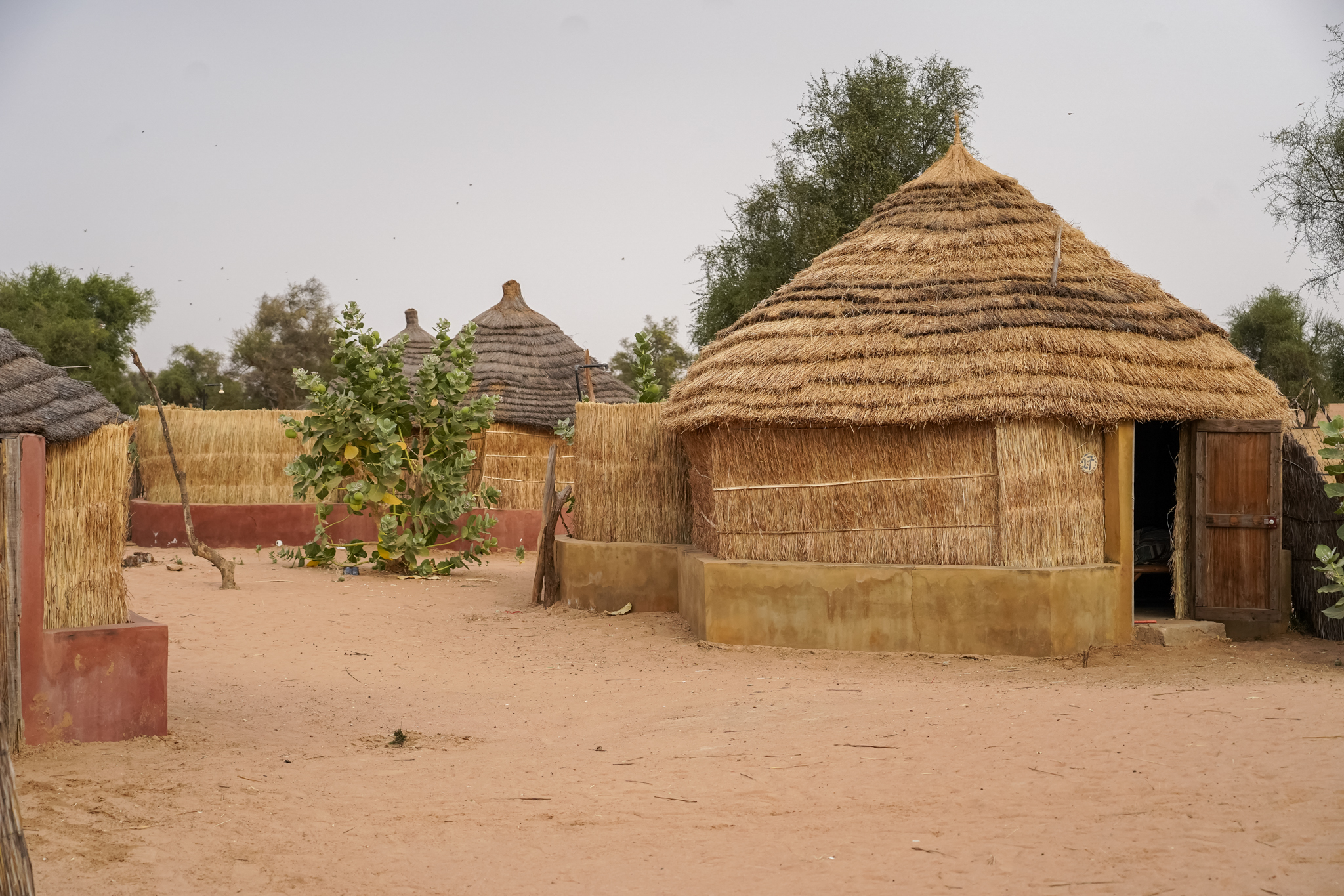 visite-senegal-village-peul-communauté
