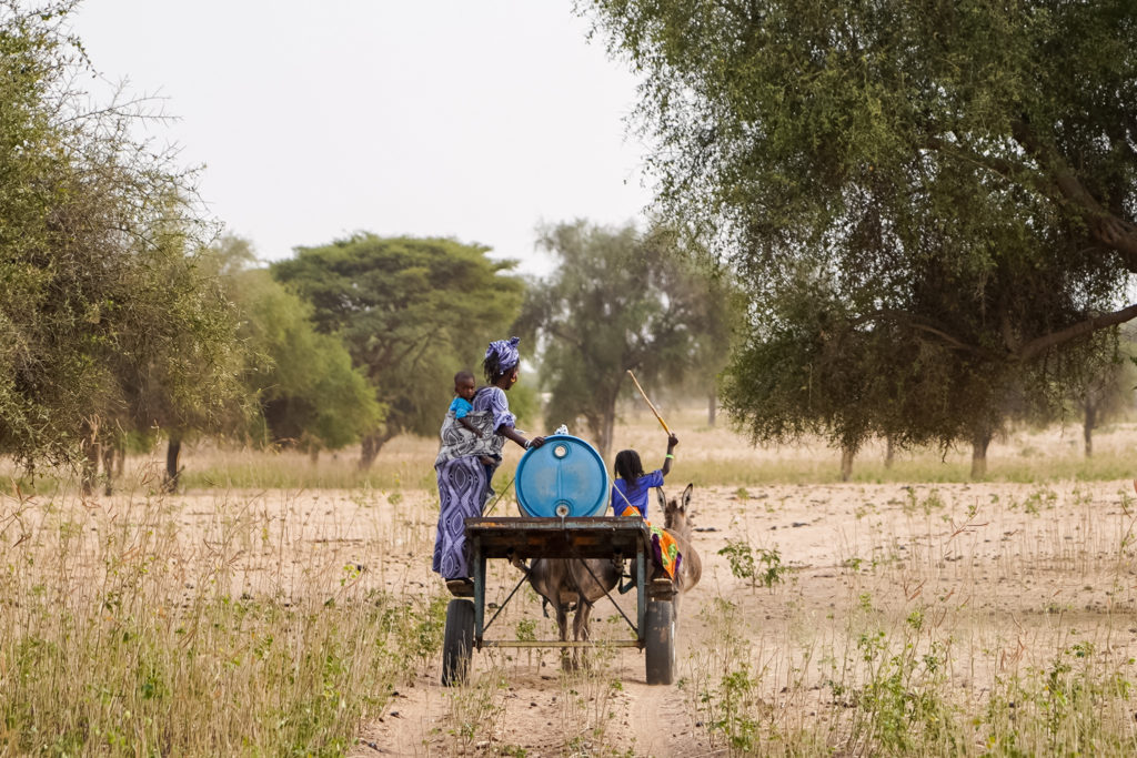 visite-village-peul-campement-senegal