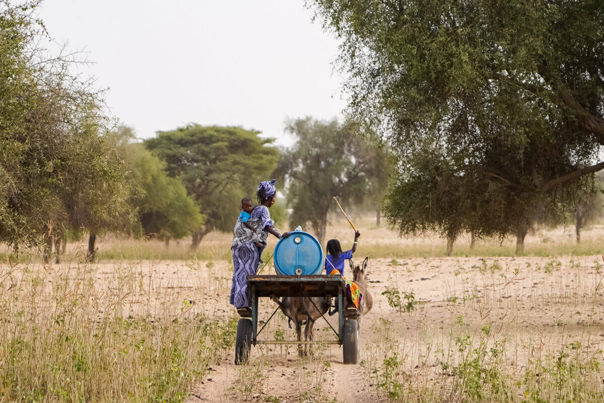 Fondatrice de la ferme de café familiale en Tanzanie
