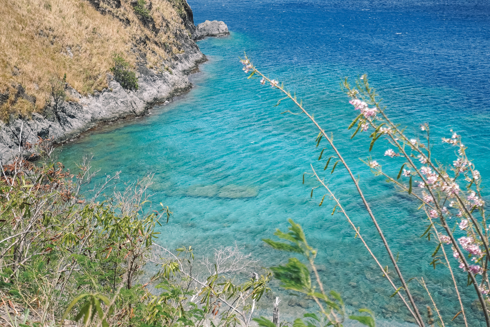 baie-soufriere-dominique-visite