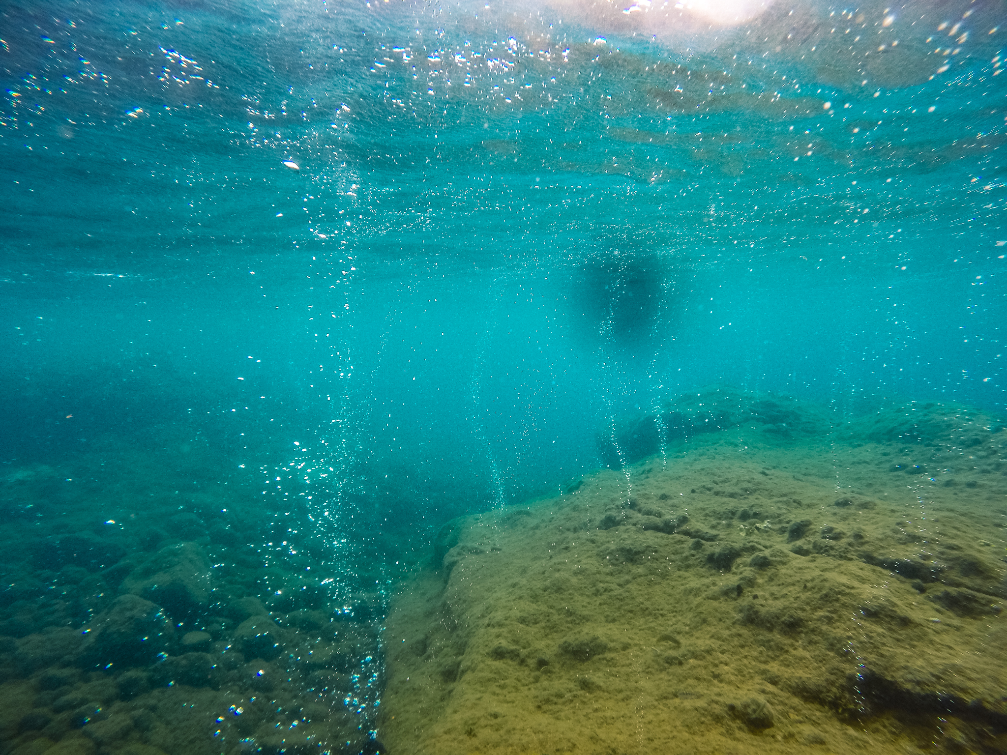 champagne-reef-plongée-dominique