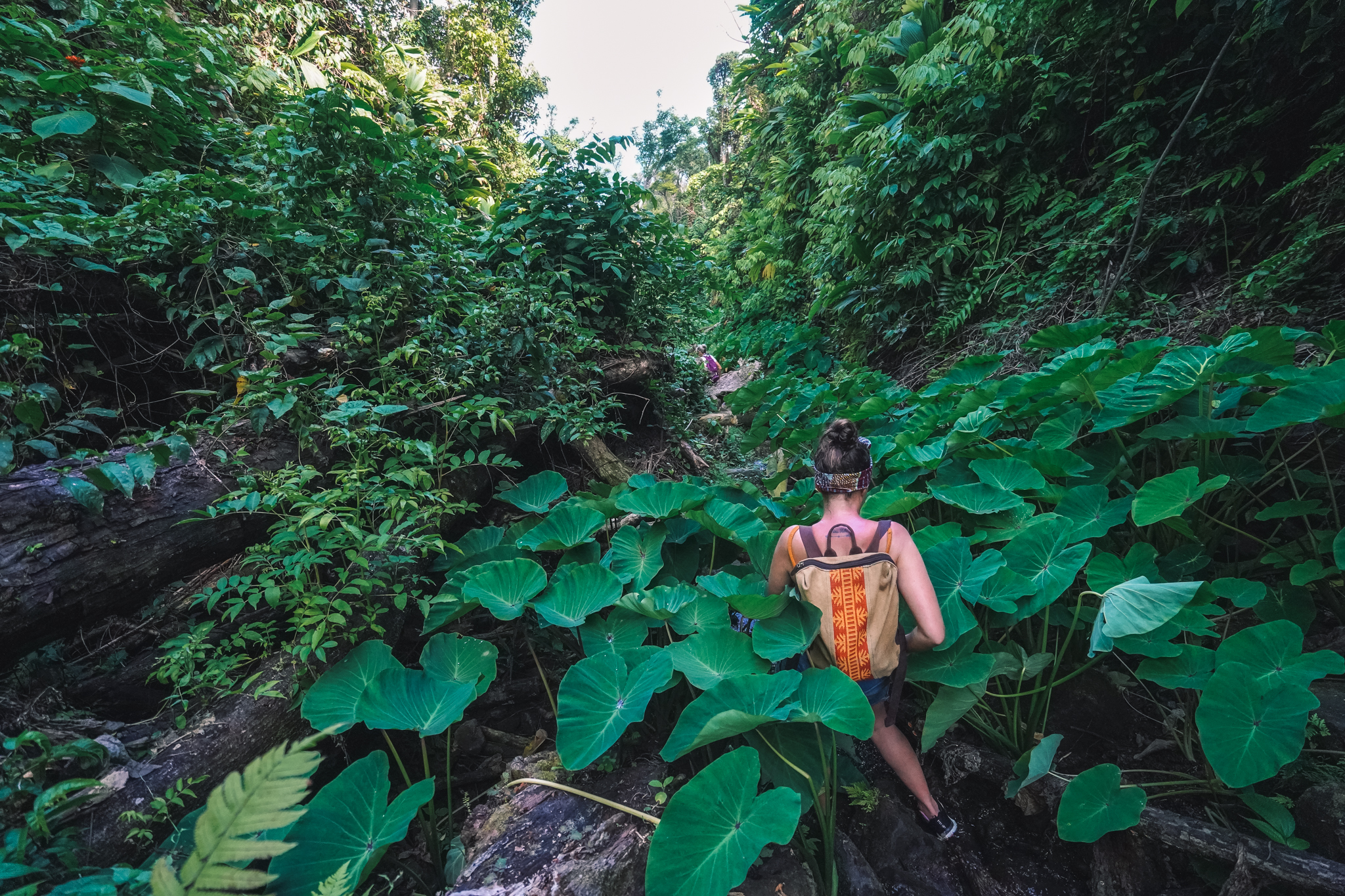 glasse-view-visite-dominique-voyage