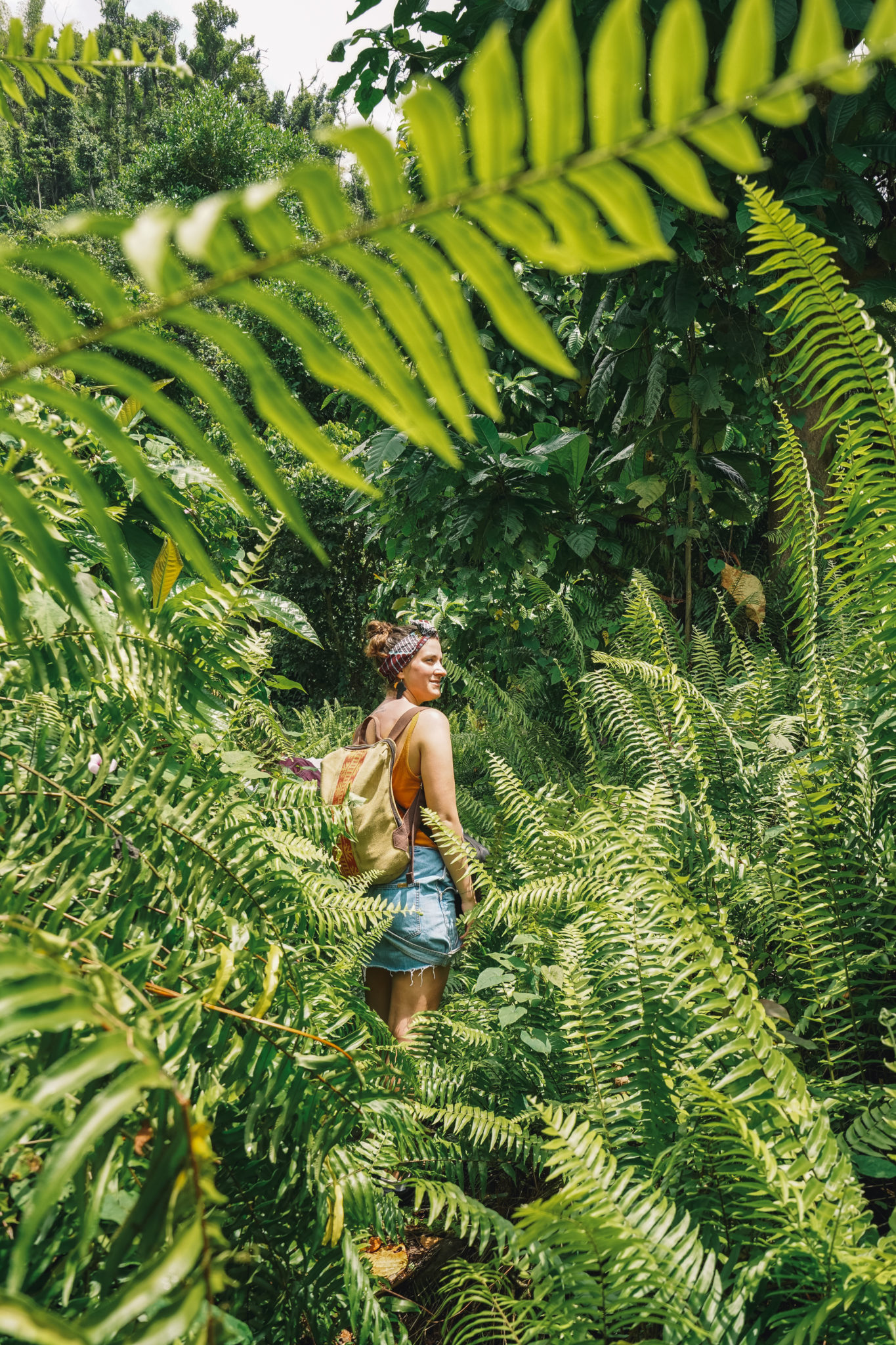 ile-dominique-victoria-falls-randonnée