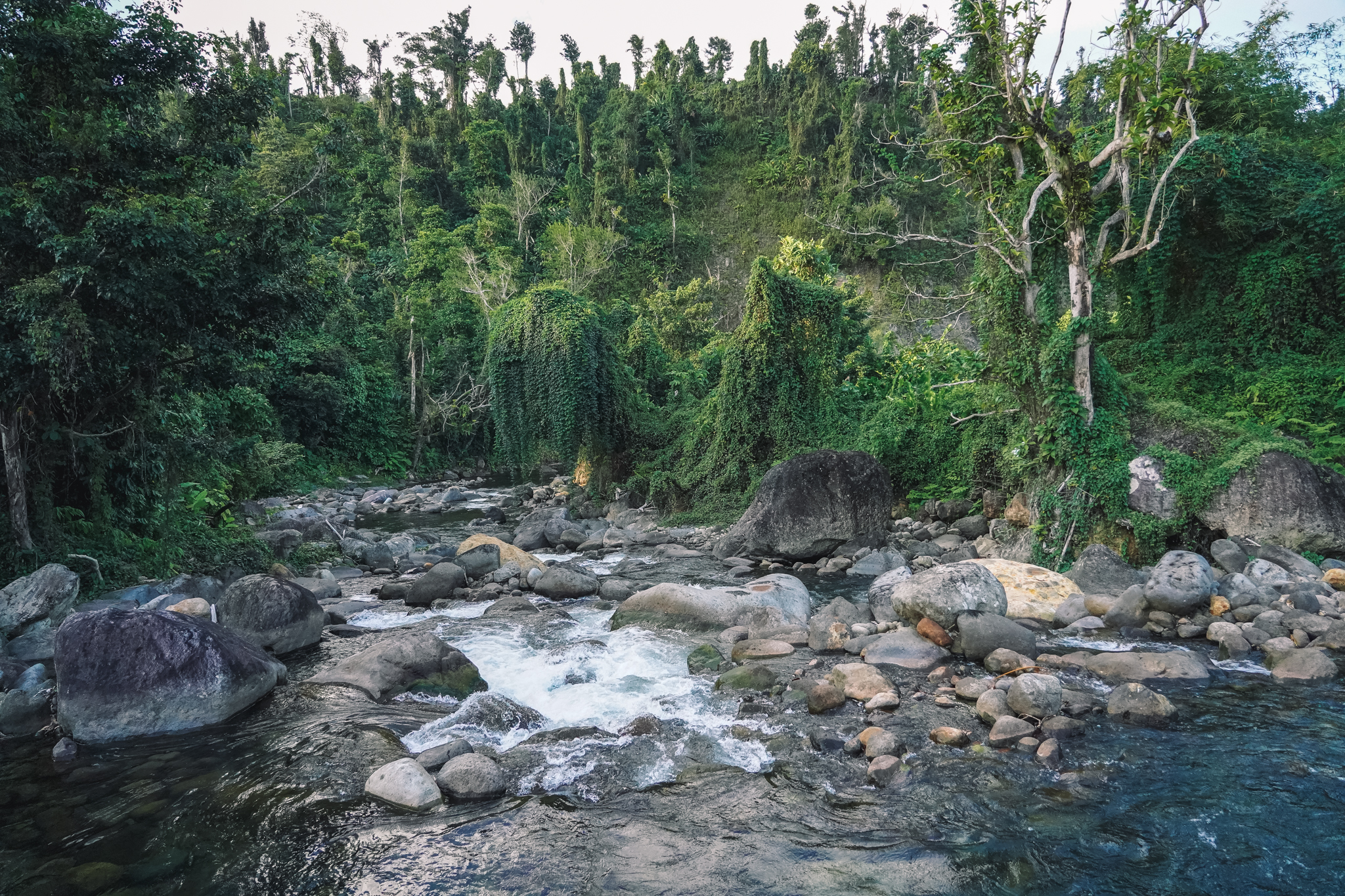 où-dormir-dominique-ecolodge