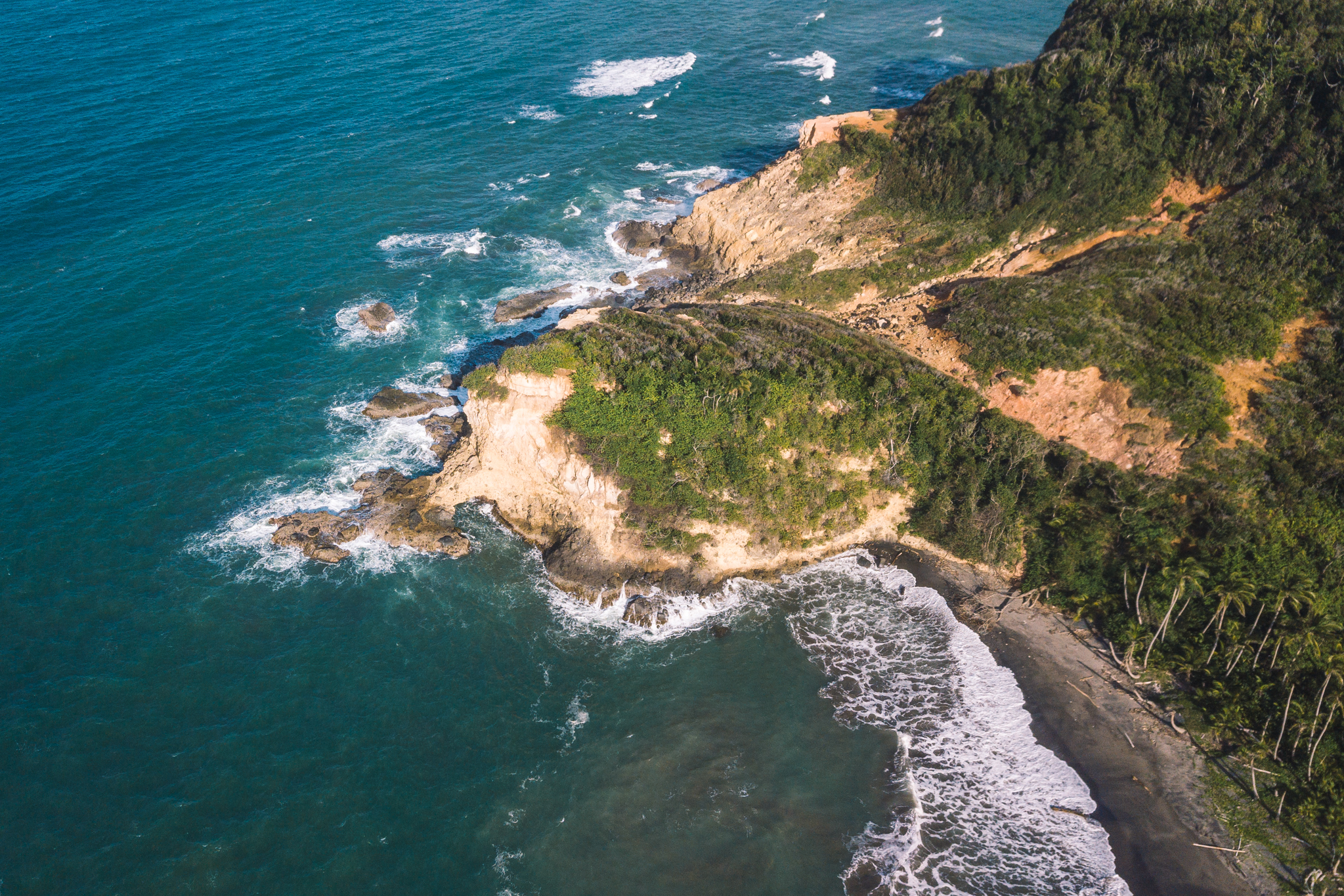plage-number-one-dominique-beach
