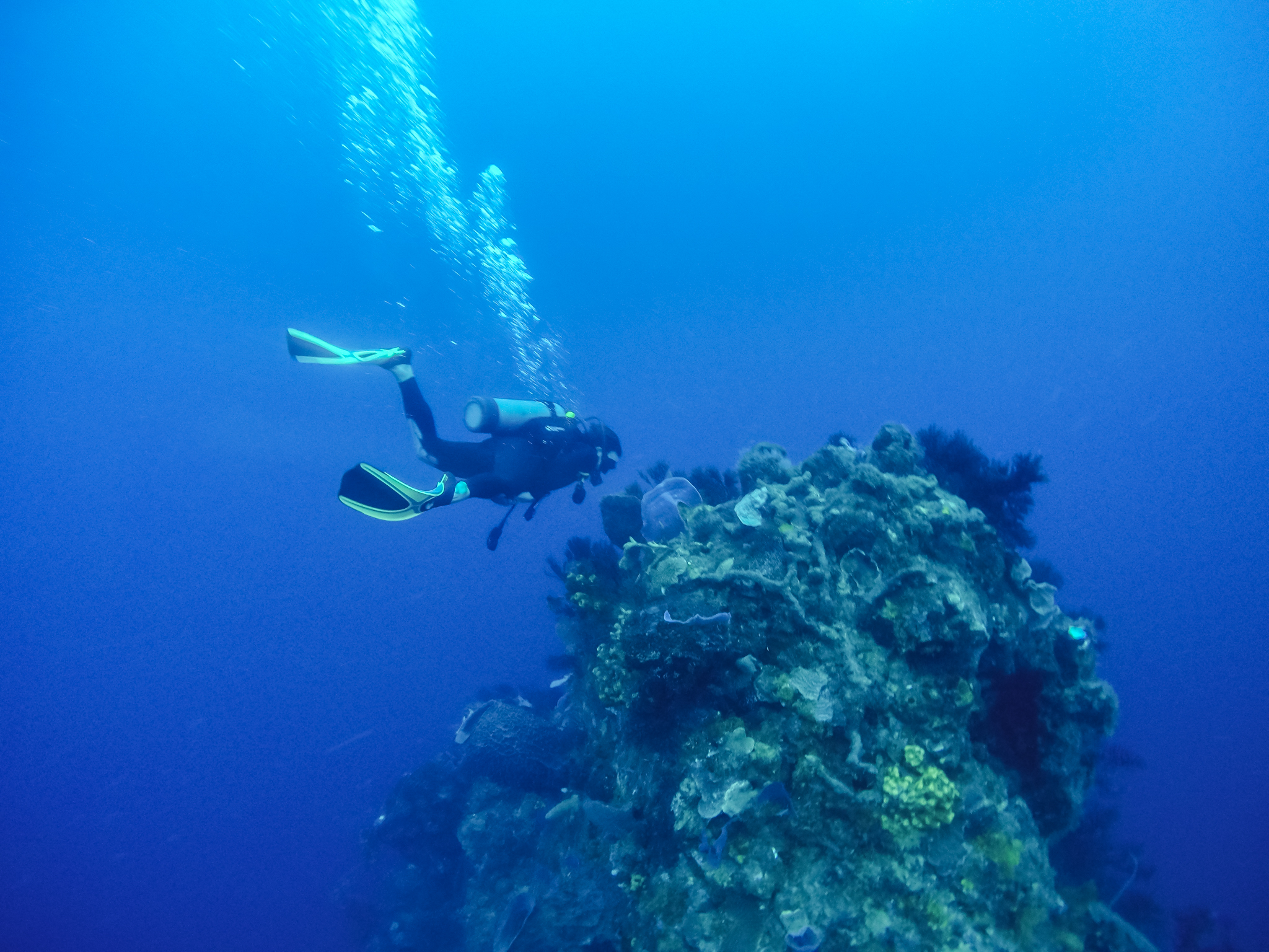 faire-plongée-dominique-soufriere