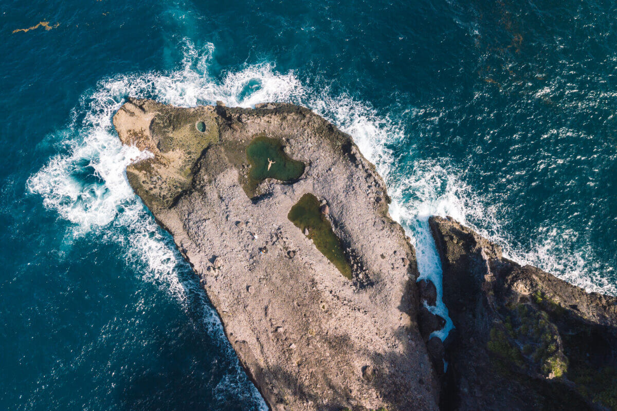 Fondatrice de la ferme de café familiale en Tanzanie