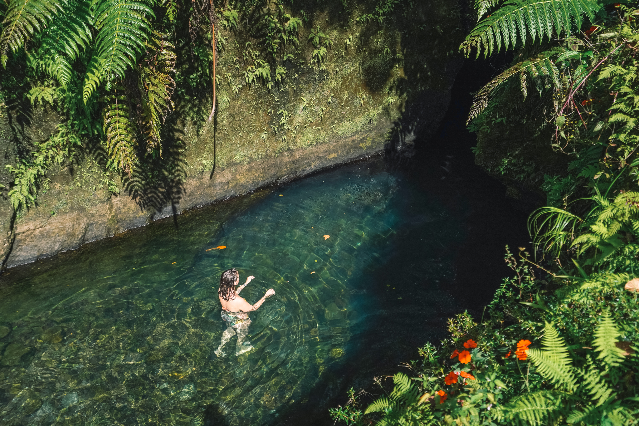 que-faire-en-dominique-vallée-roseau