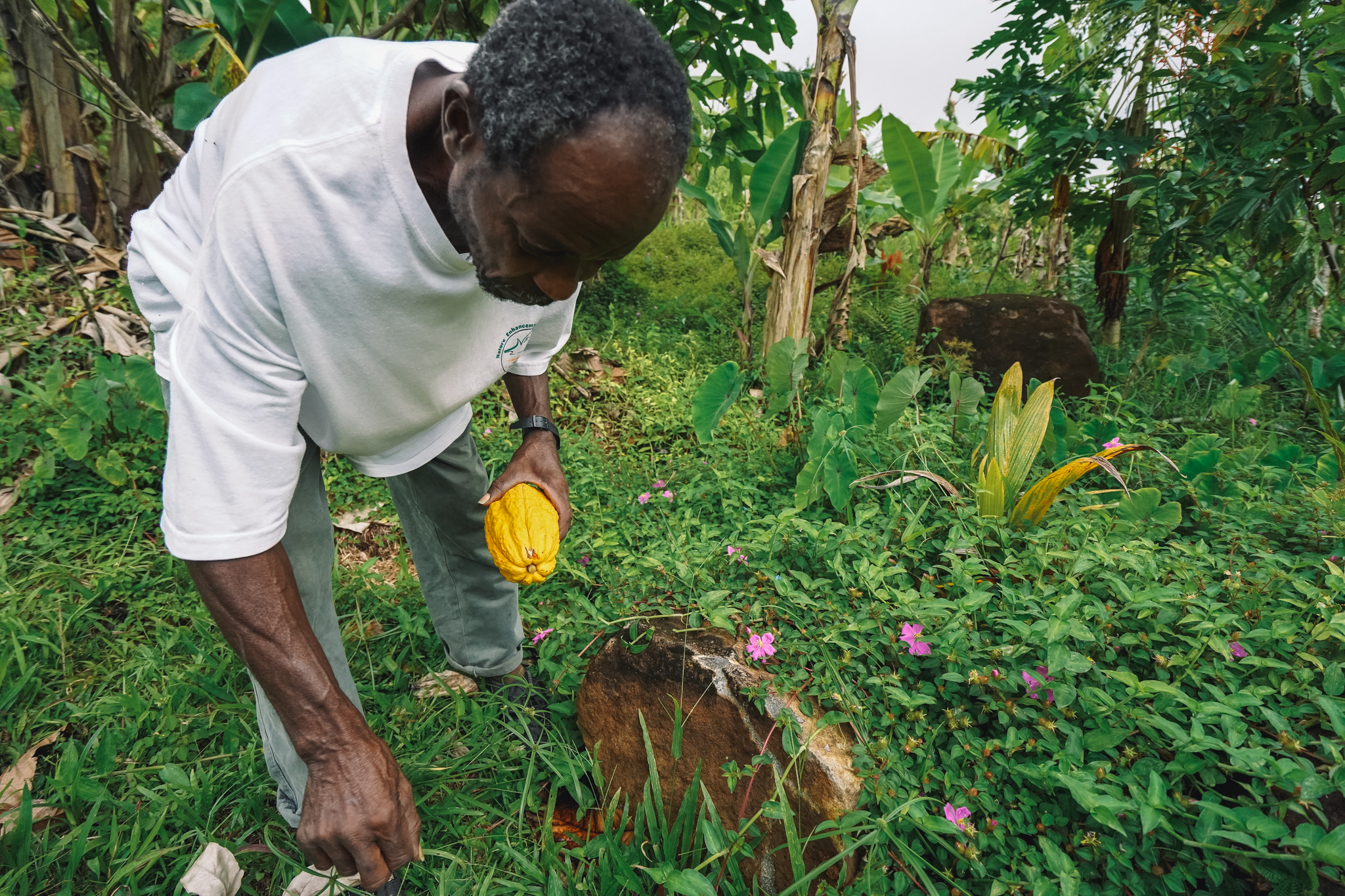 que-faire-en-dominique-voyage
