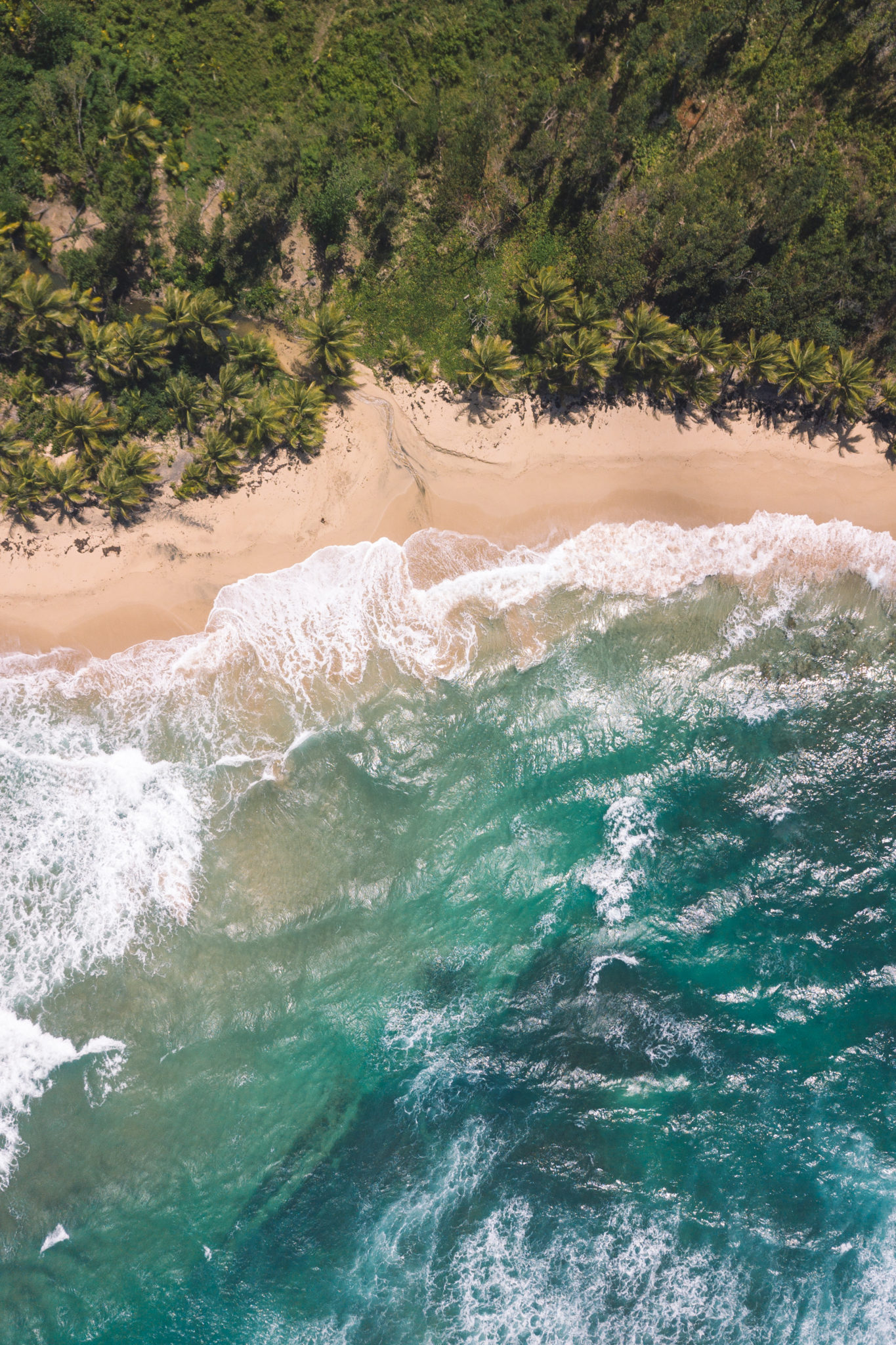 taille-bay-beach-dominique-plage