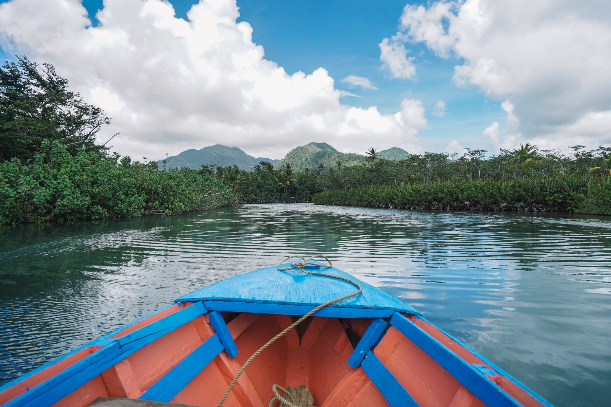 visiter-indian-river-dominica