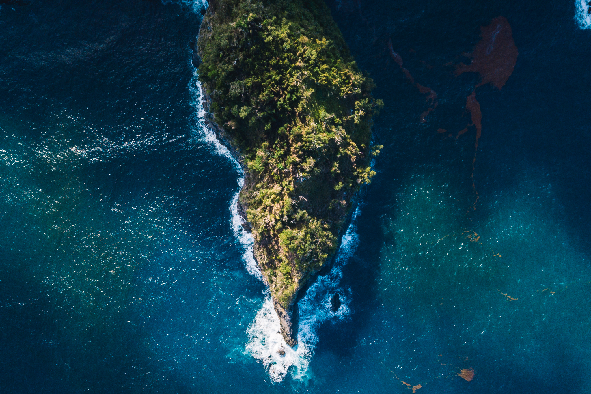 visiter-lile-dominique-caraibes