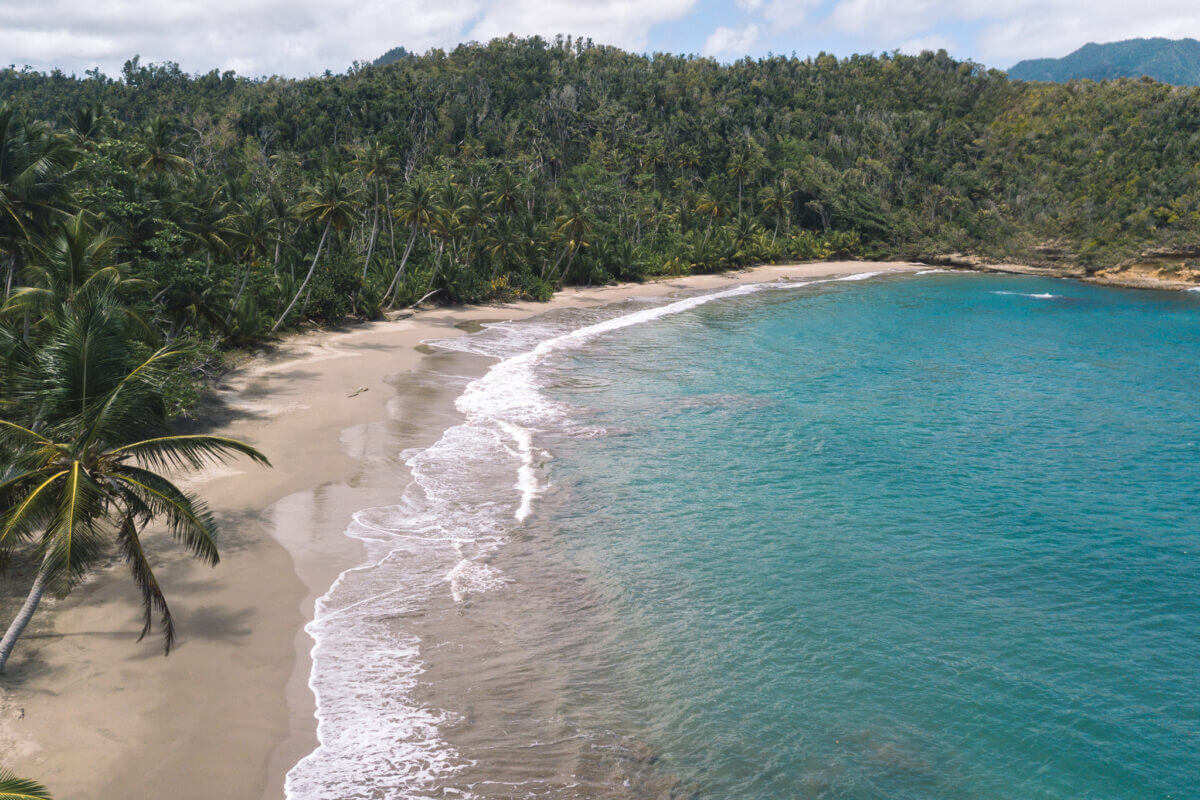 Fondatrice de la ferme de café familiale en Tanzanie