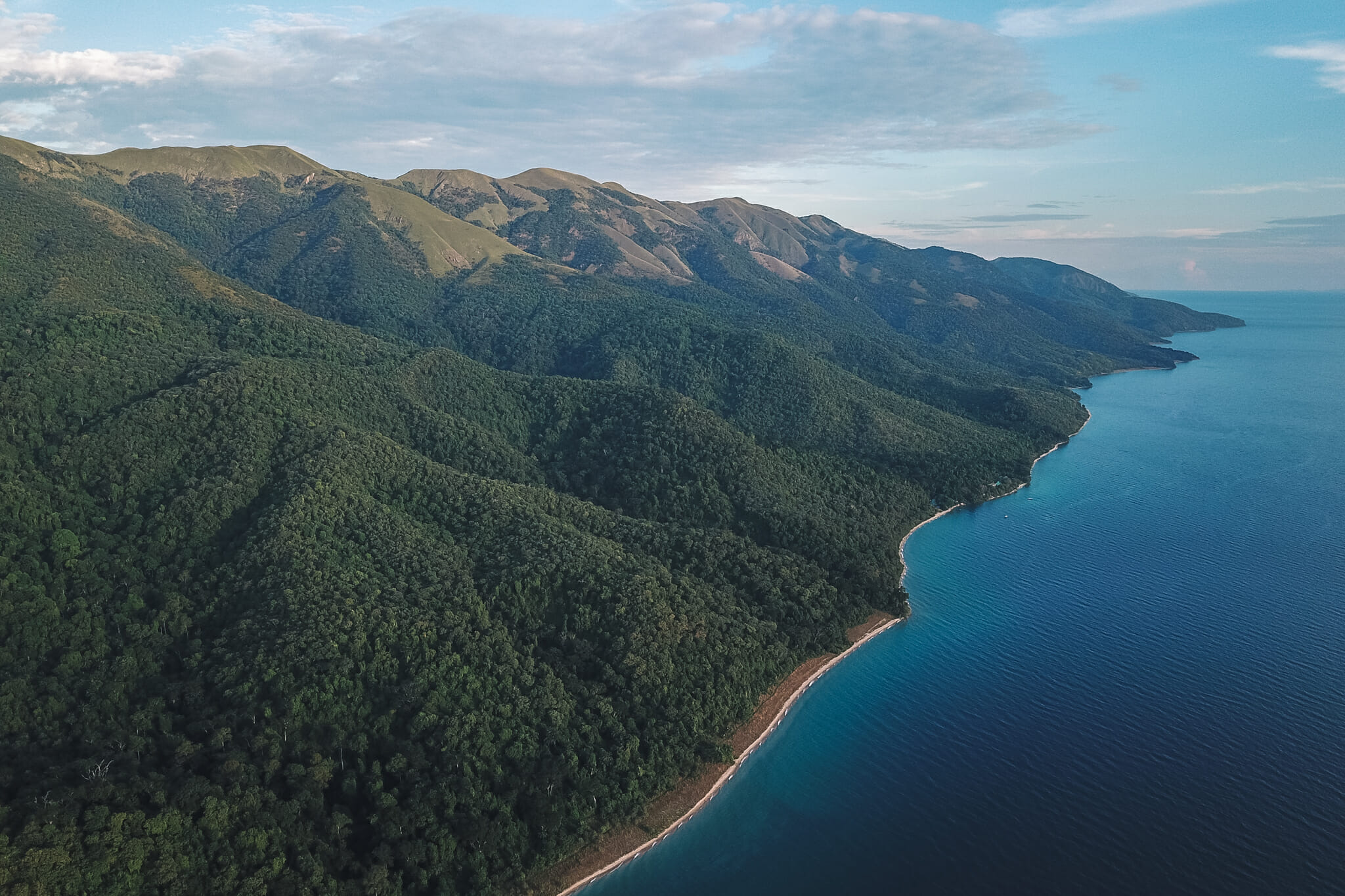 gombe-parc-tanzanie-chimpanzes