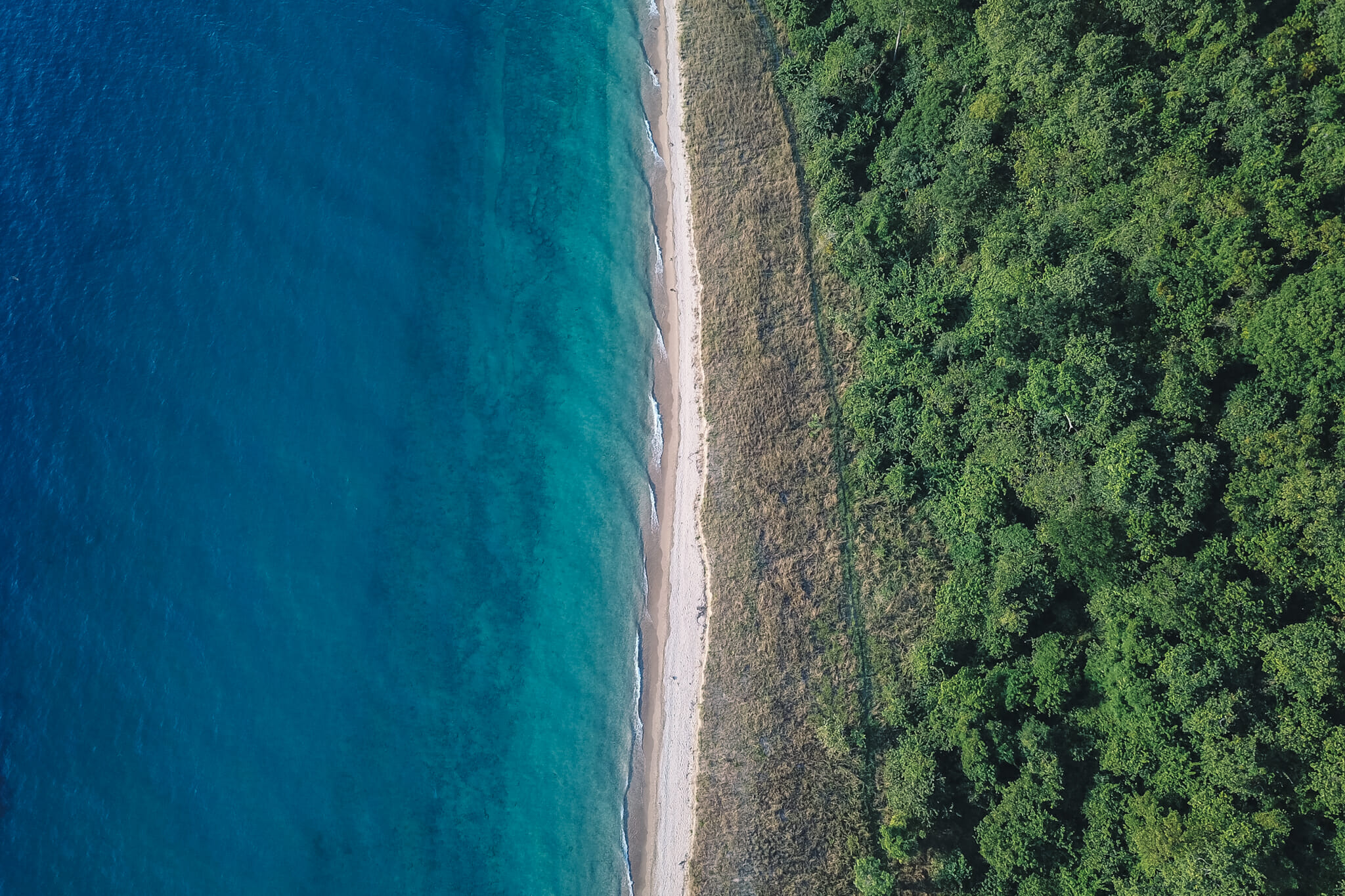 parc-gombe-tanzanie-chimpanzes