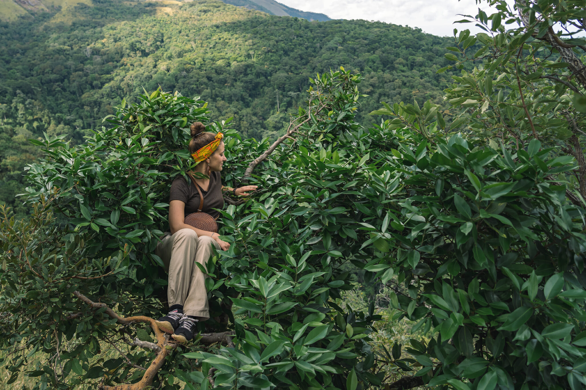 peak-jane-goodall-tanzanie-parc-gombe