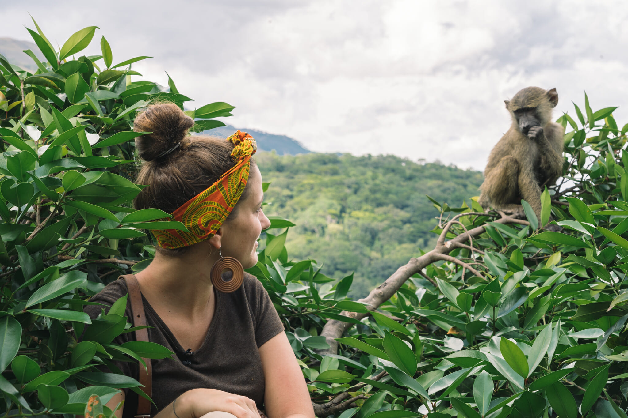 peak-jane-goodall-tanzanie