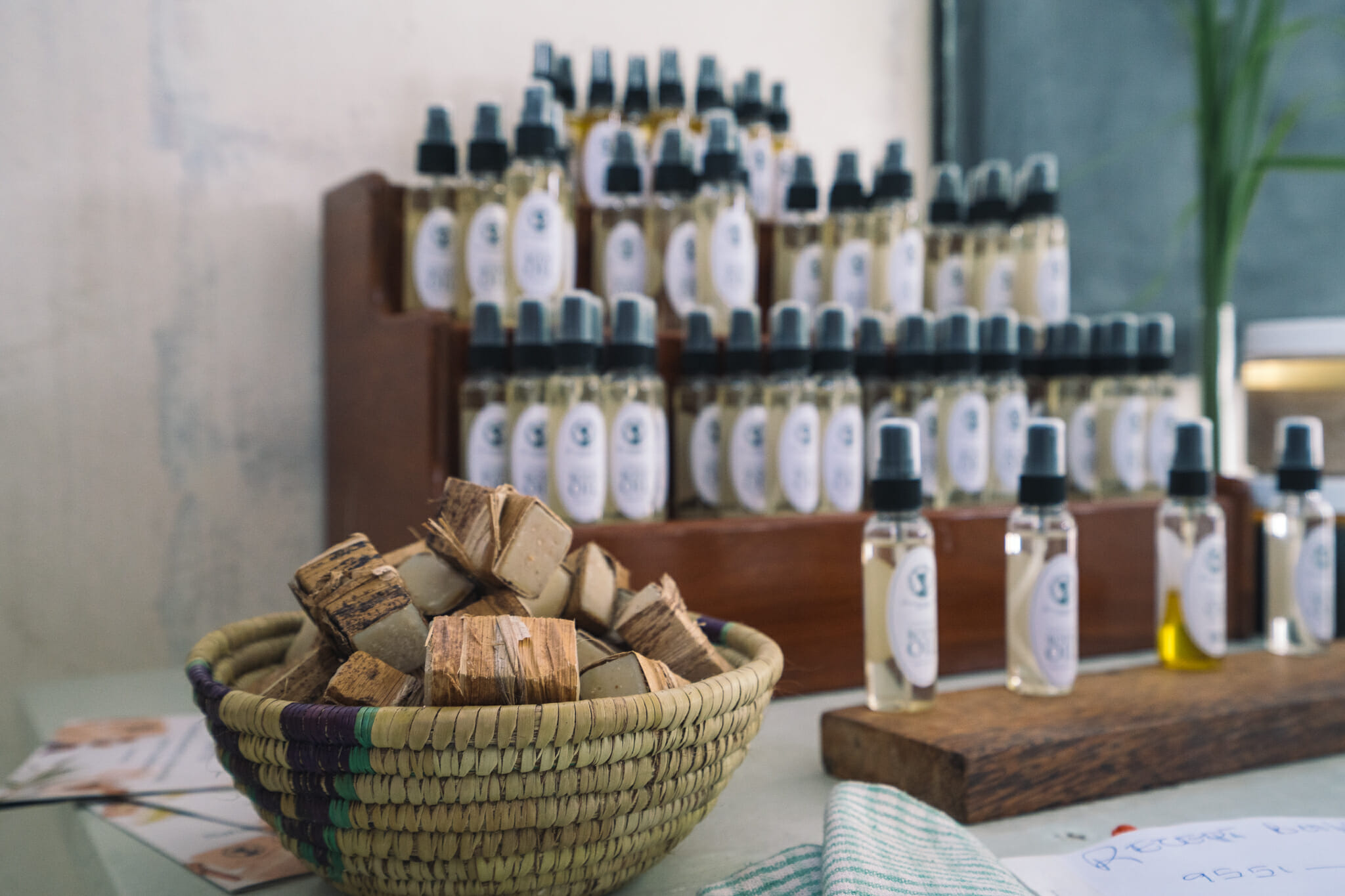 culture-algue-zanzibar-paje