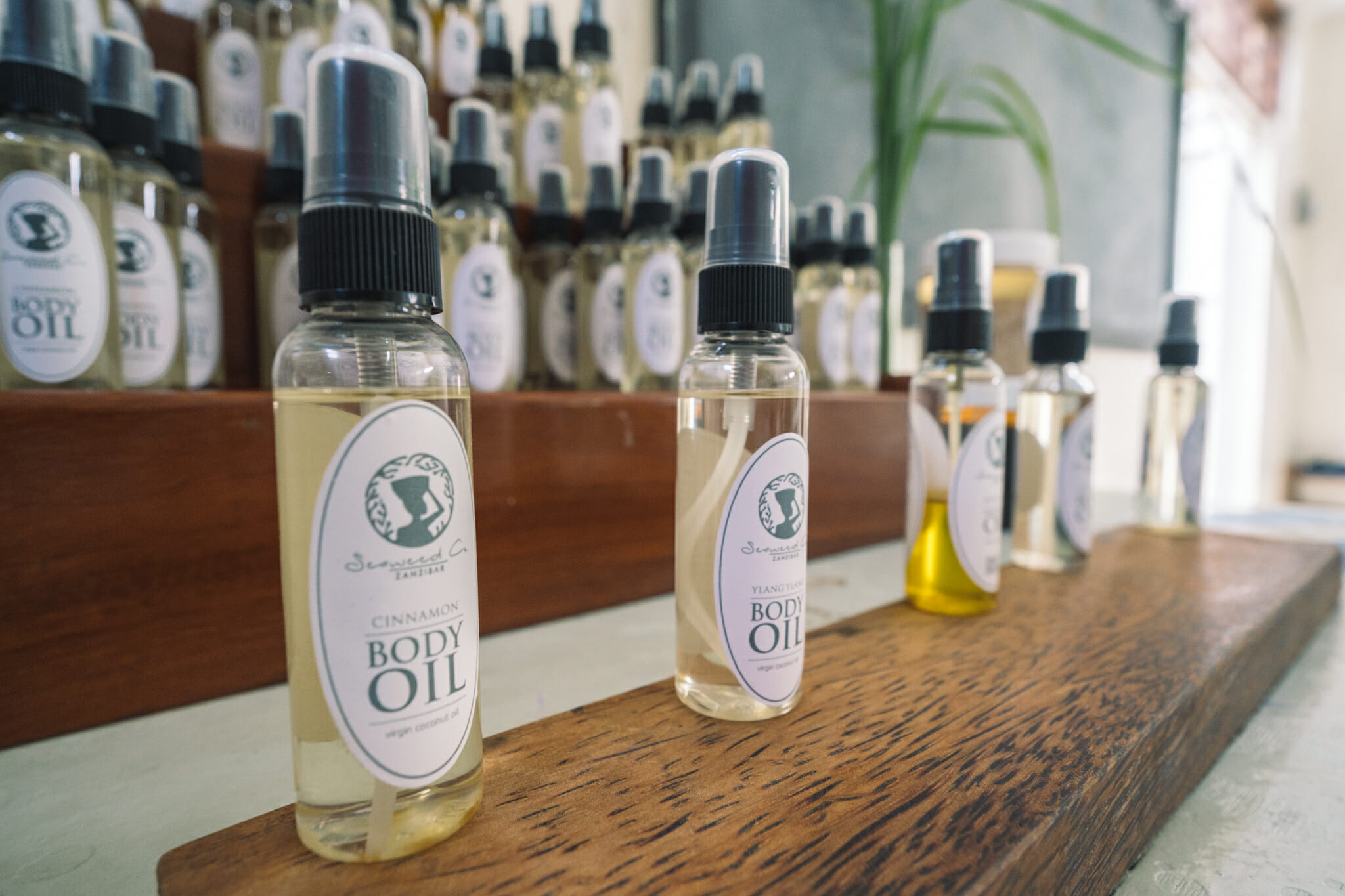 culture-algues-zanzibar-paje-seaweed