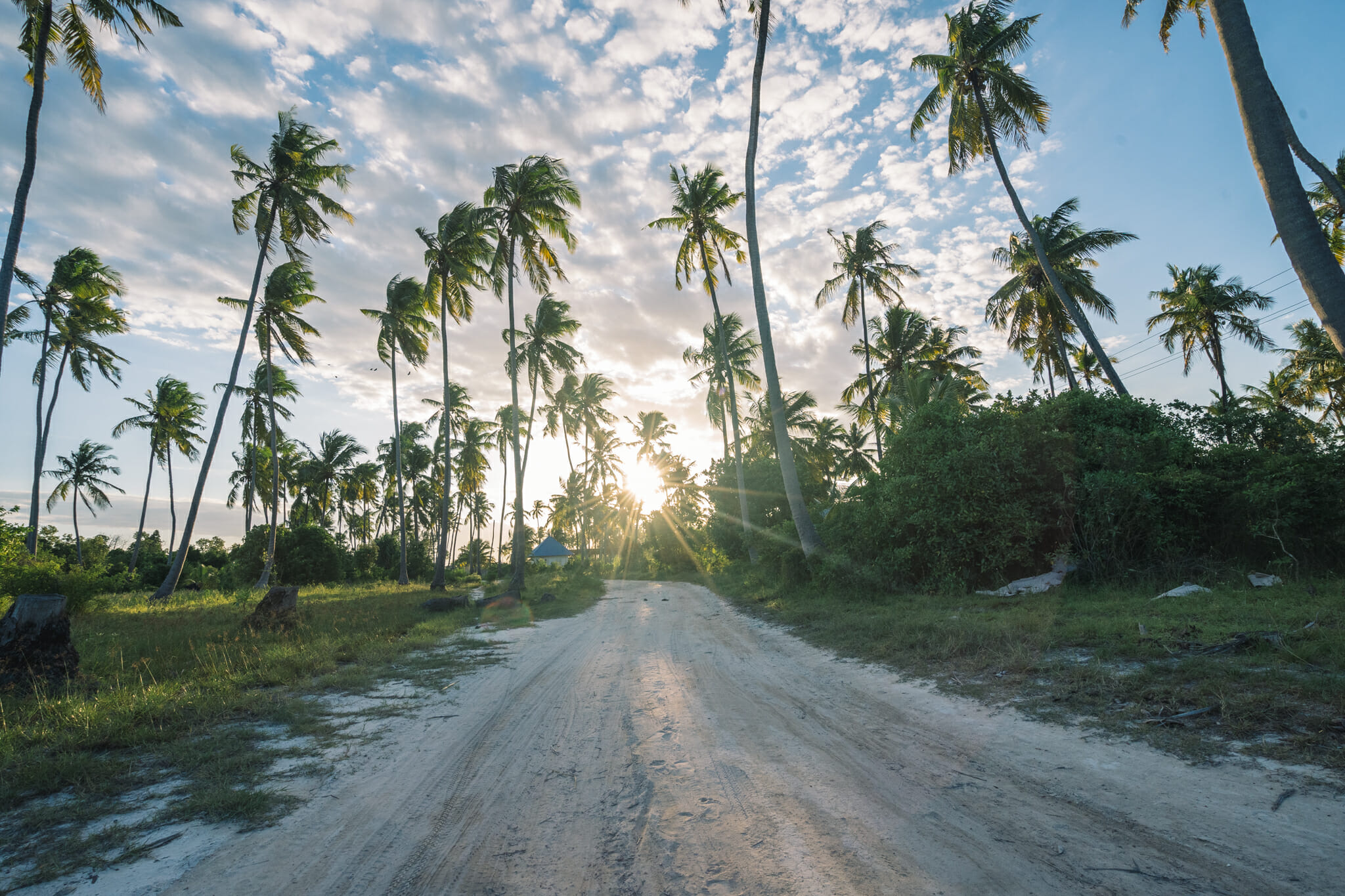 location-scooter-paje-zanzibar