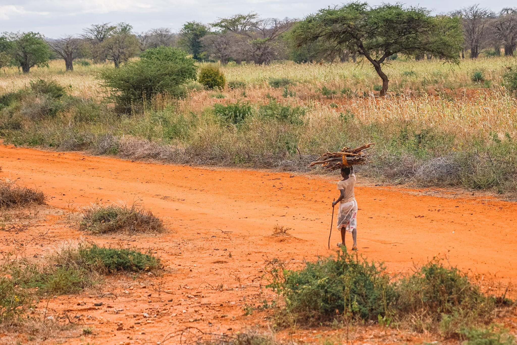 train-tanzanie-voyage-vie-locale