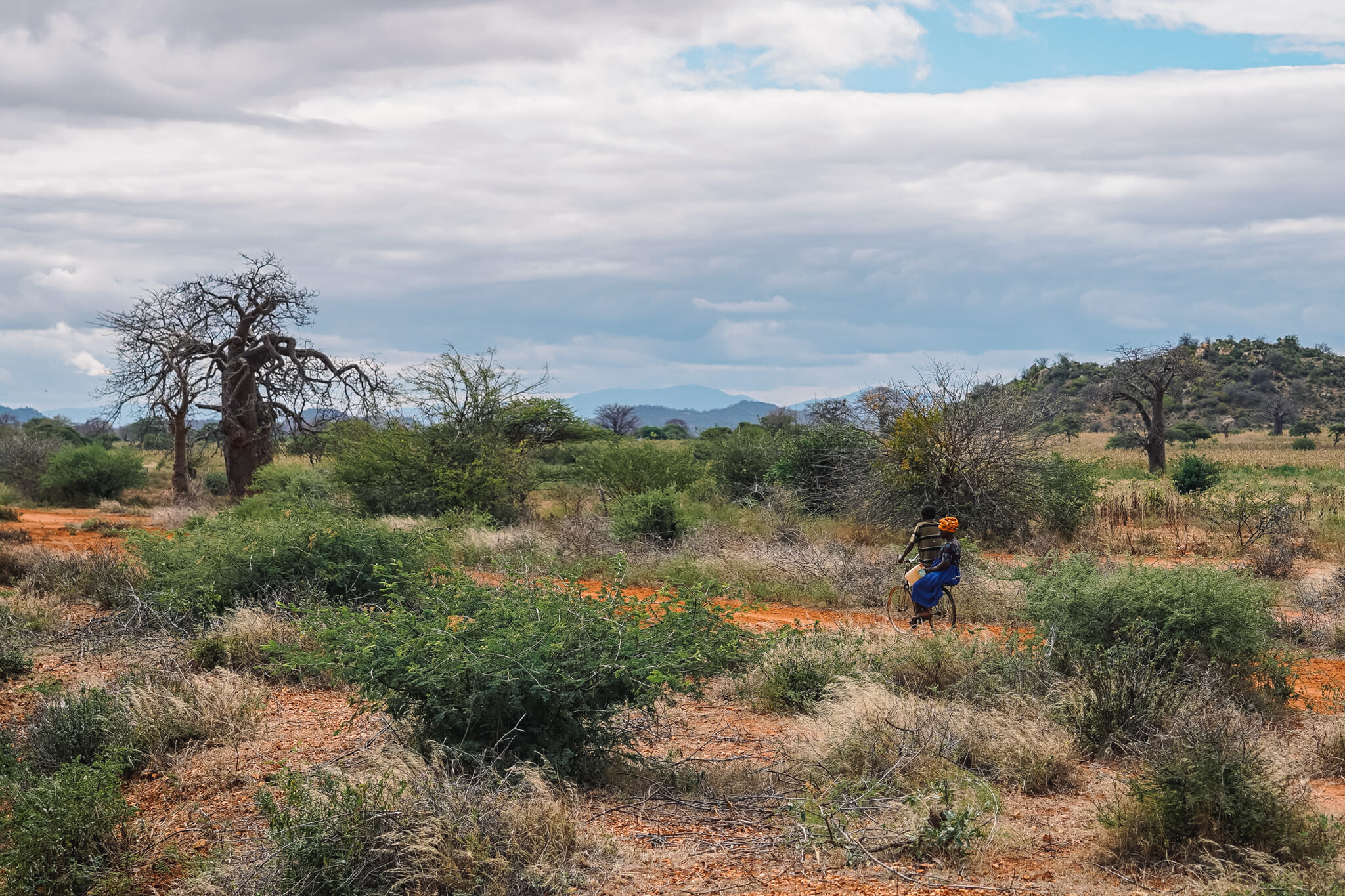train-voyage-tanzanie-campagne